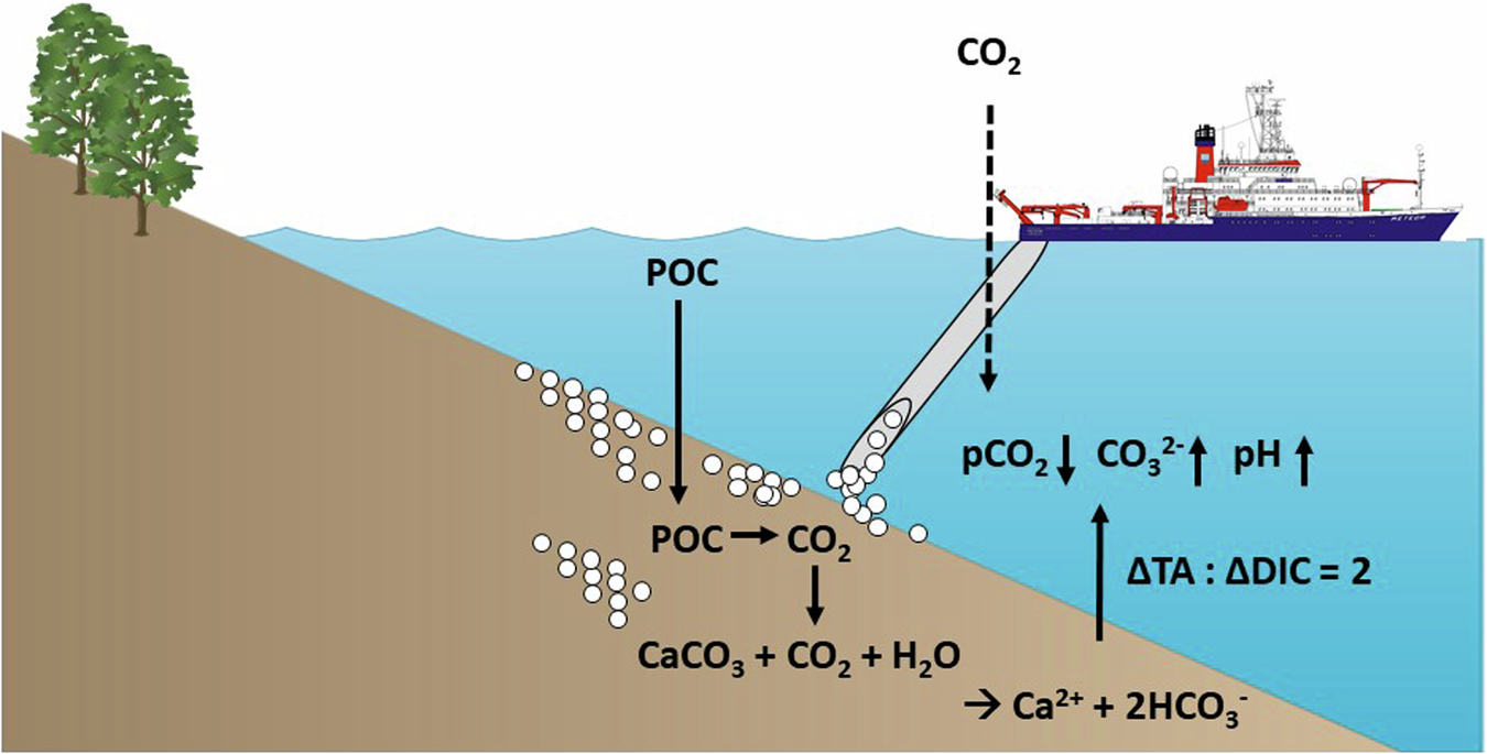 Fig. 1: Ocean alkalinity enhancement through benthic carbonate dissolution.
