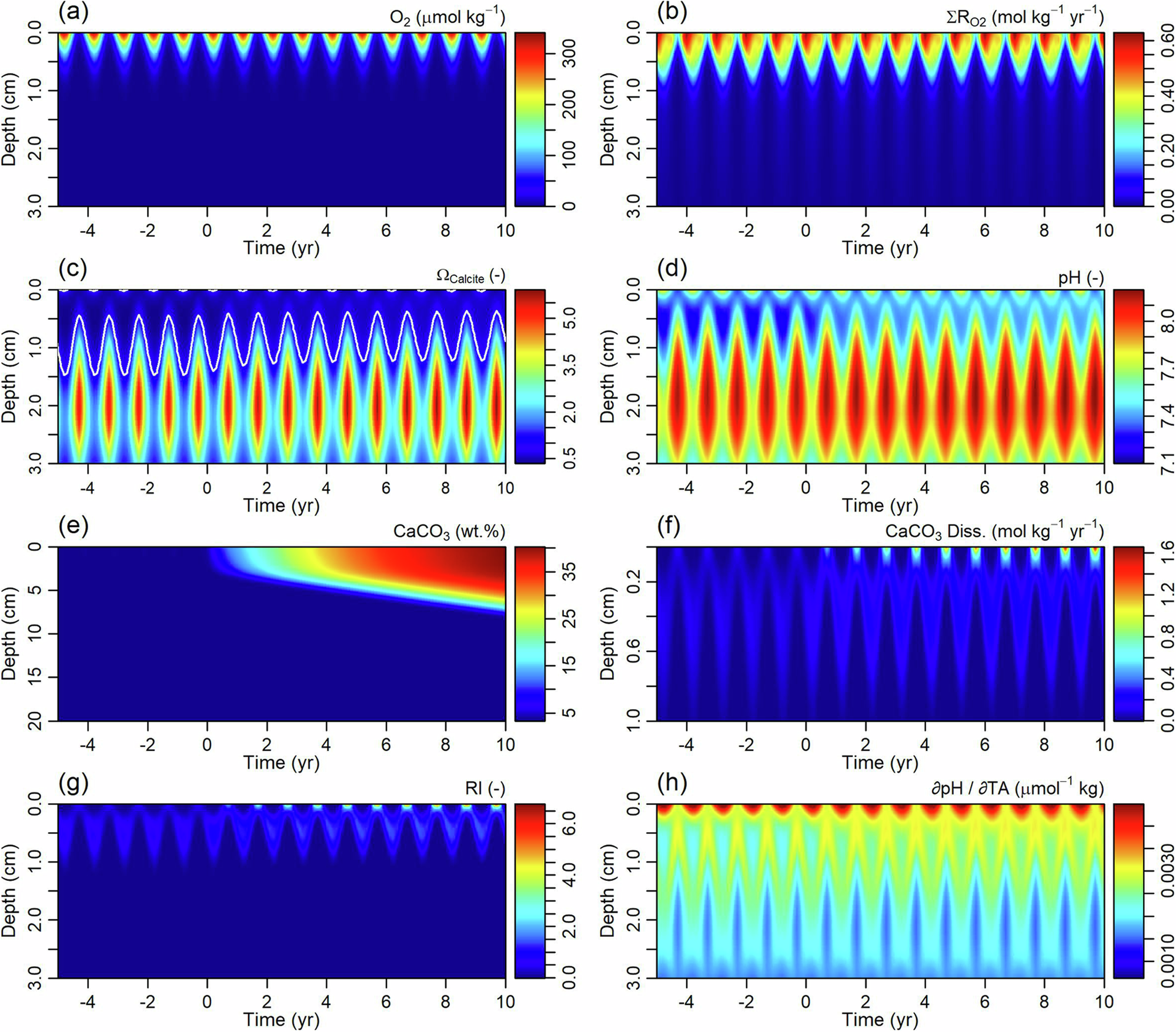 Fig. 2: Modelled benthic biogeochemistry in surface sediments of Boknis Eck.