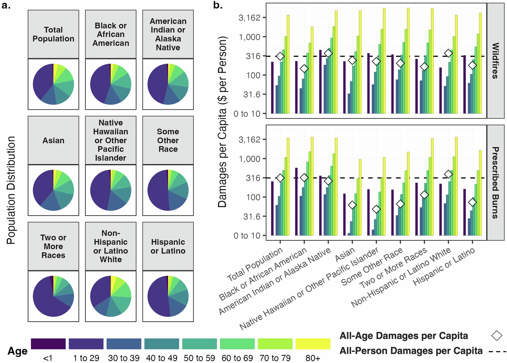 Fig. 6: Smoke damages per capita by age and race/ethnicity.