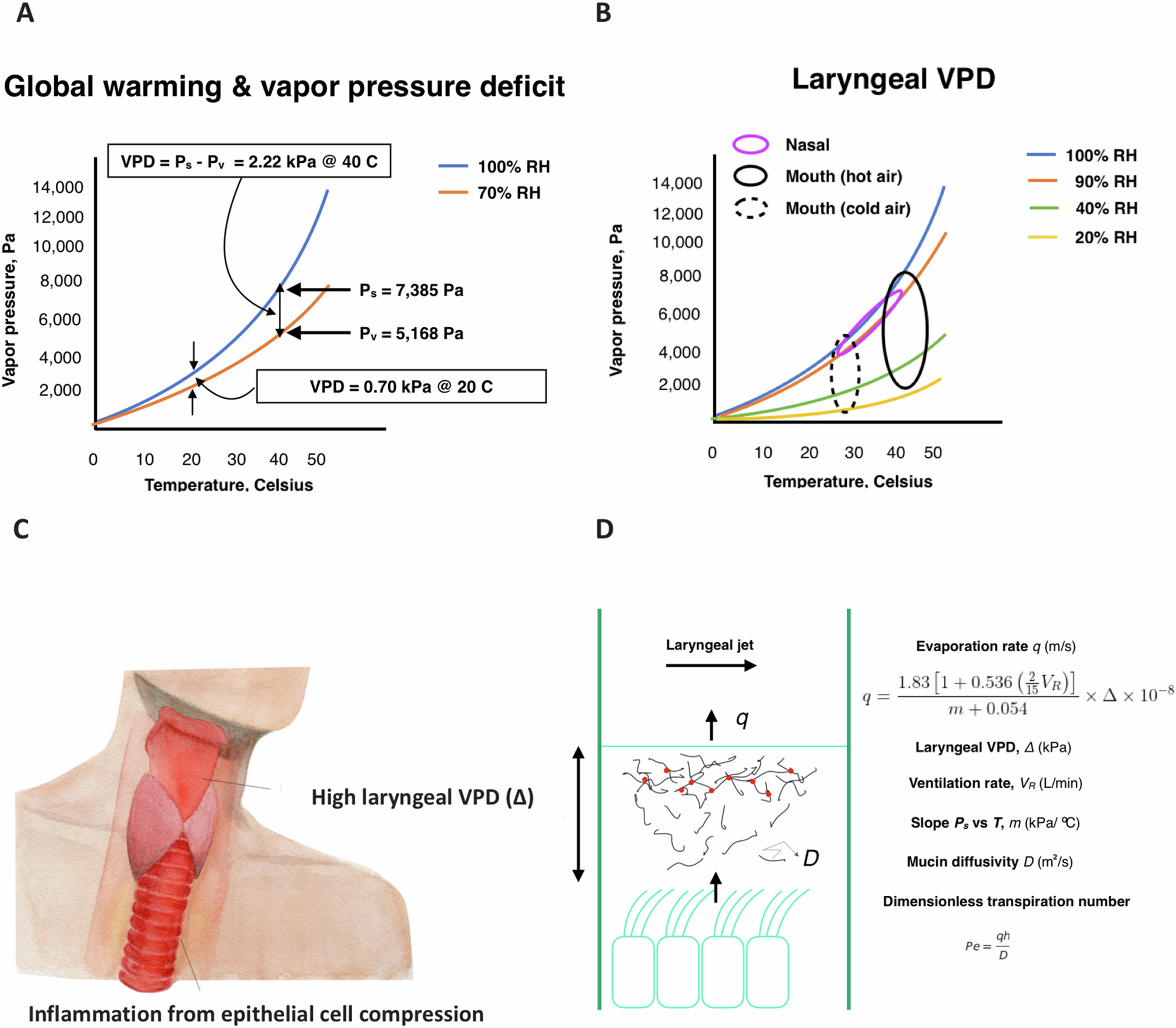 気候変動による乾燥大気が呼吸器系に与える影響を特定 (Climate Change Could Lead to Respiratory Problems)