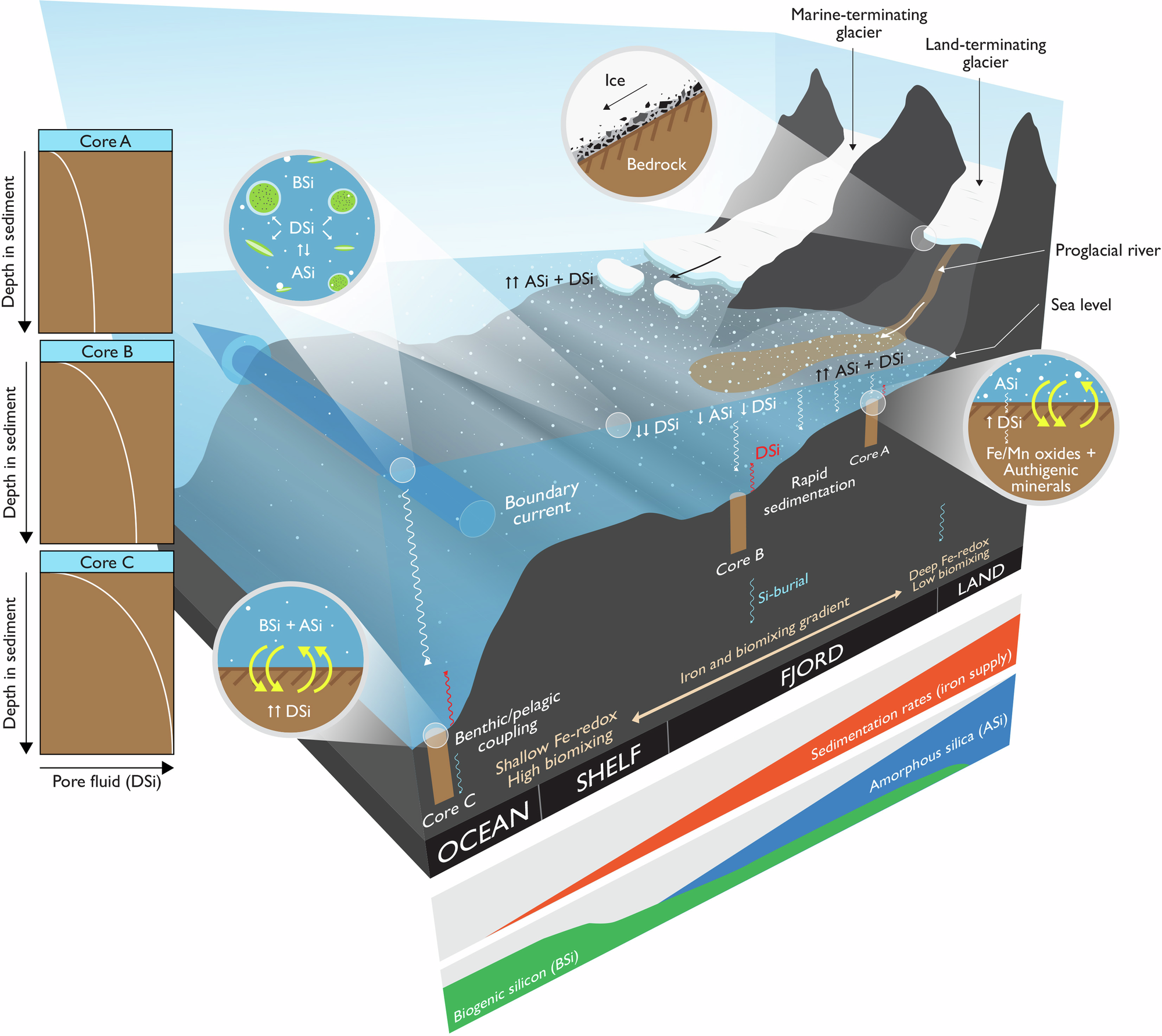Fig. 5: Summary of silicon cycling of Southwest Greenland.