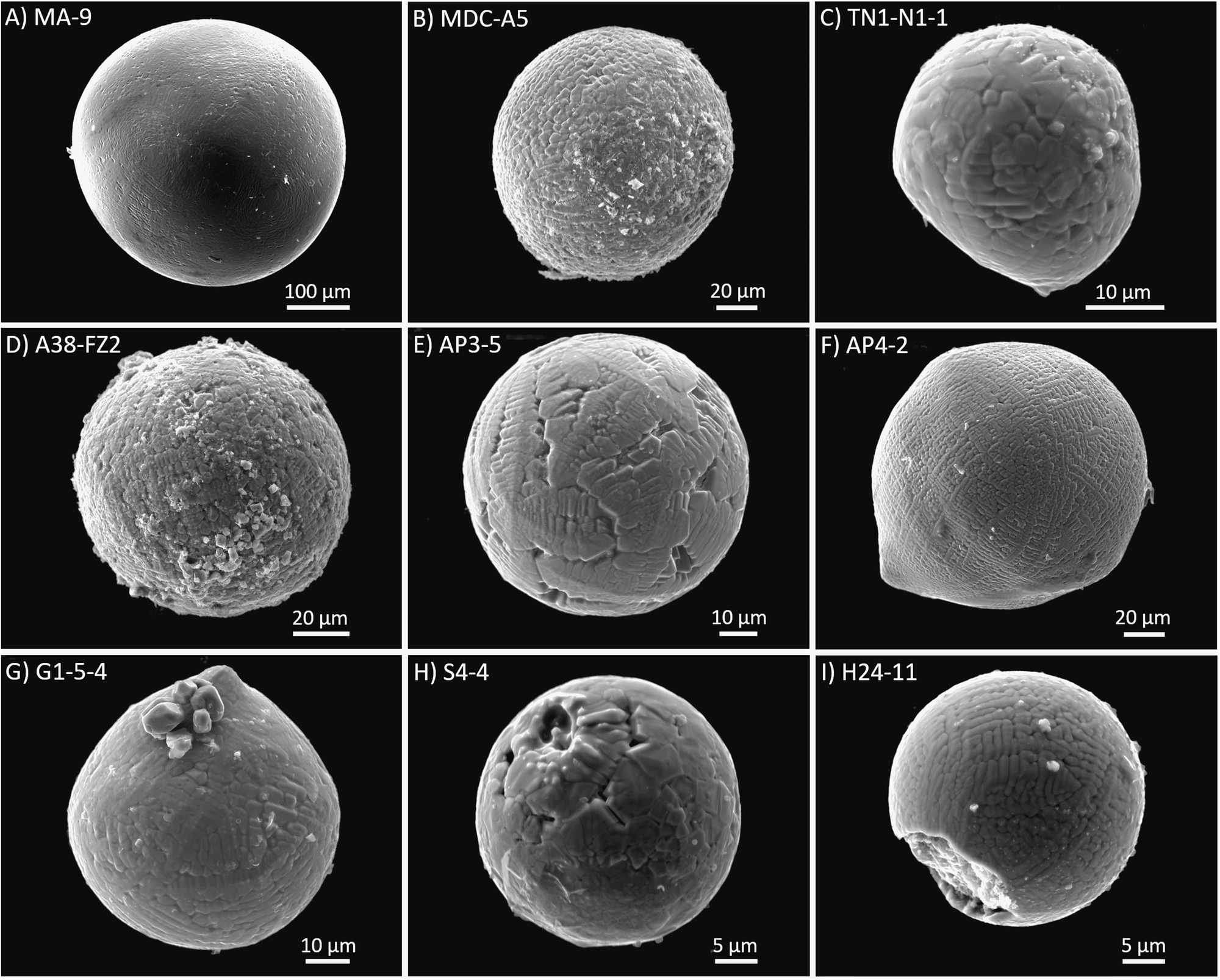 Nine electron-microscope images of iron-rich cosmic spherules with varied dendritic surfaces