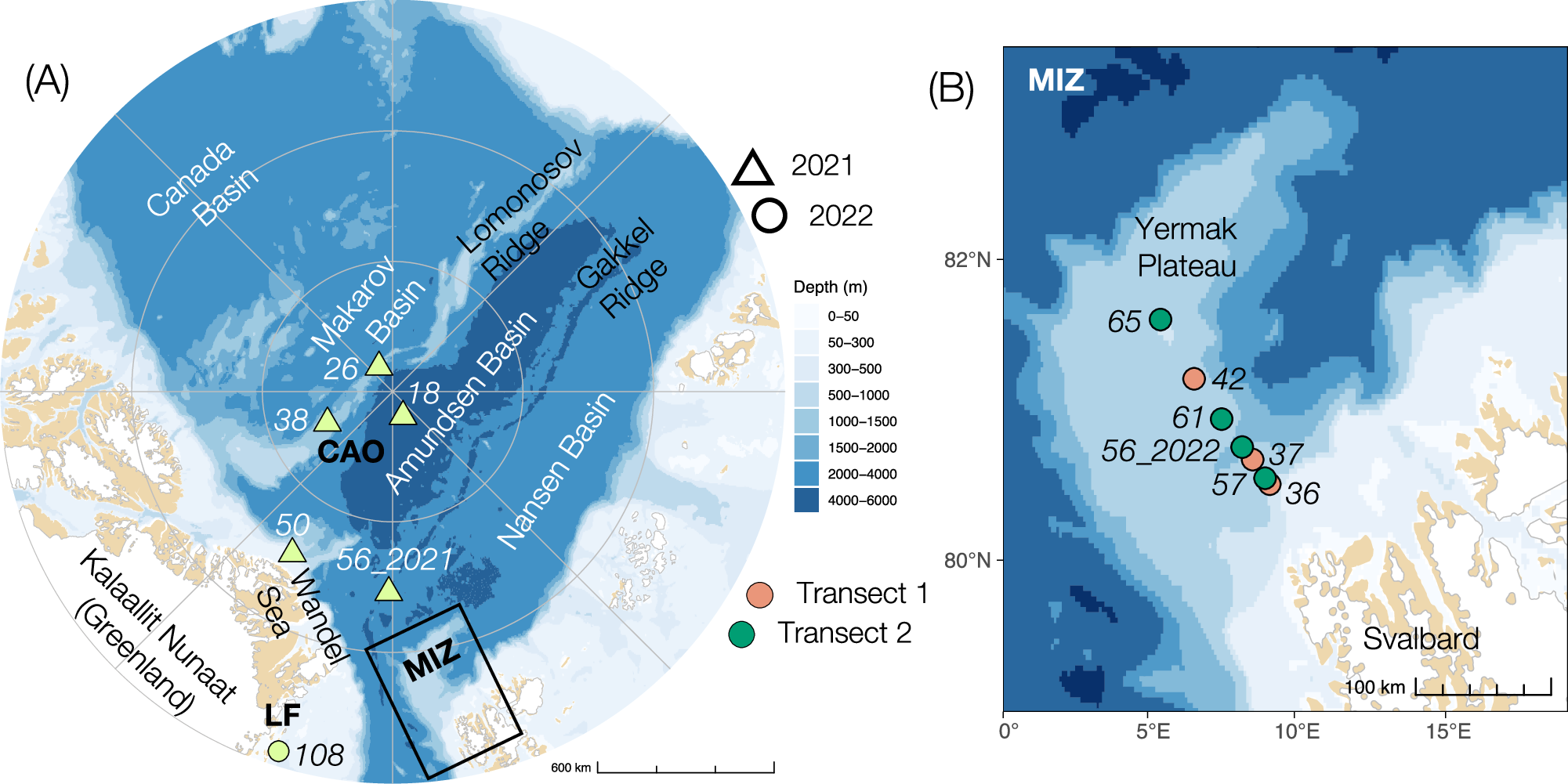 北極で発見された重要な現象が海洋生物を活性化させる可能性（Important phenomenon discovered in the Arctic – could boost marine life）