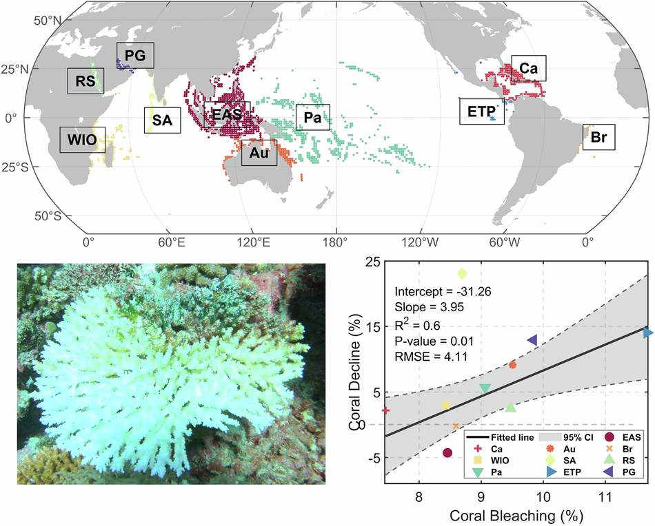 Inevitable global coral reef decline under climate change-induced thermal stresses – Nature