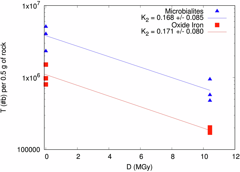 Fig. 4: Calculation of the nucleobase radiolytic constant K = 0.17  ± 0.09, after exposure to D2 = 10.45 MGy of gamma radiation.