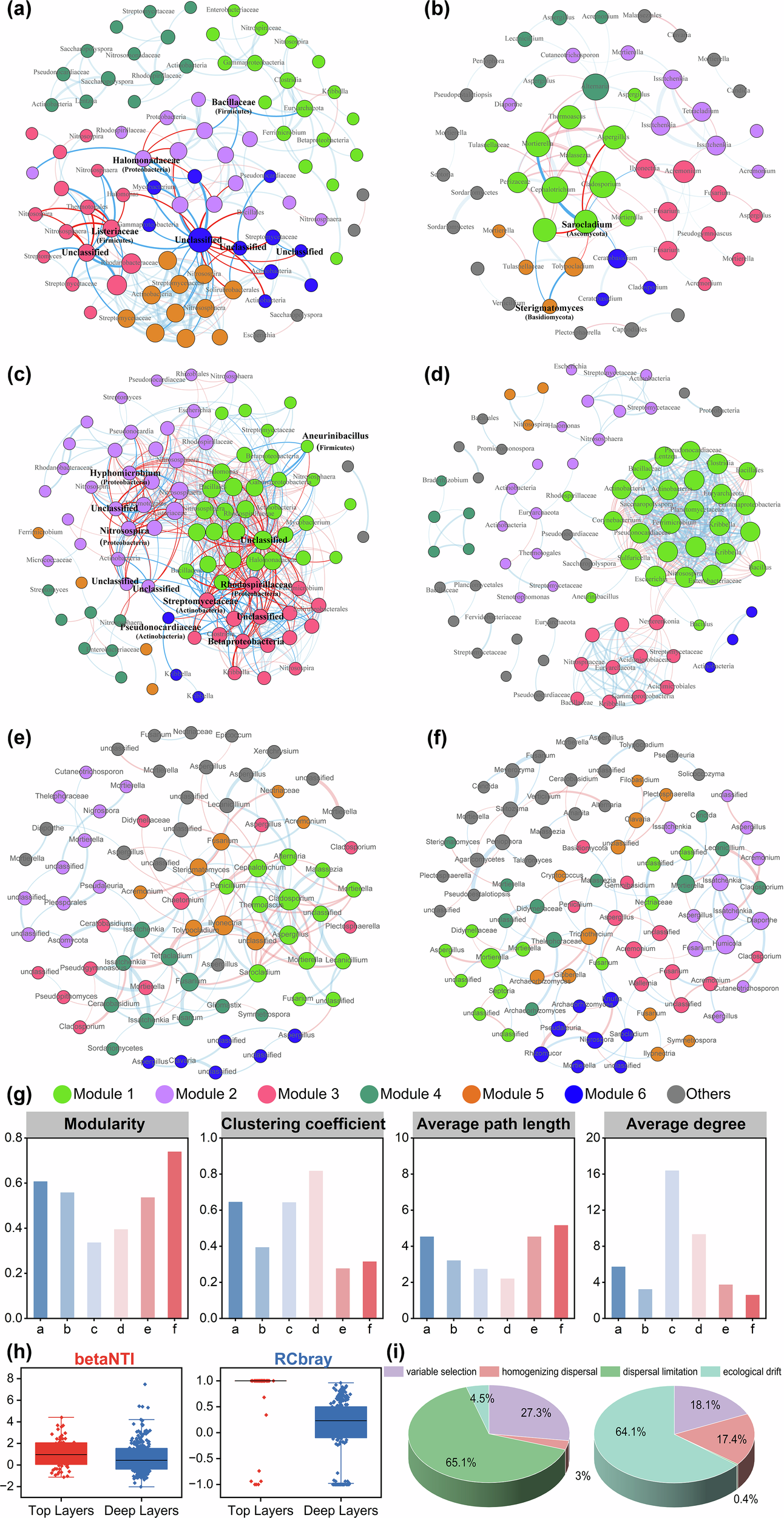 Fig. 4: Co-occurrence networks for bacterial and fungal communities based on amplification sequence variations (ASVs).