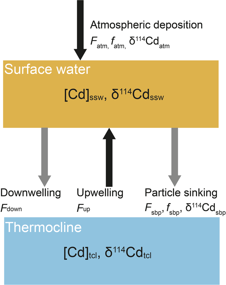 Fig. 6: Box model for the cycling of Cd in the surface waters of the western tropical North Atlantic.