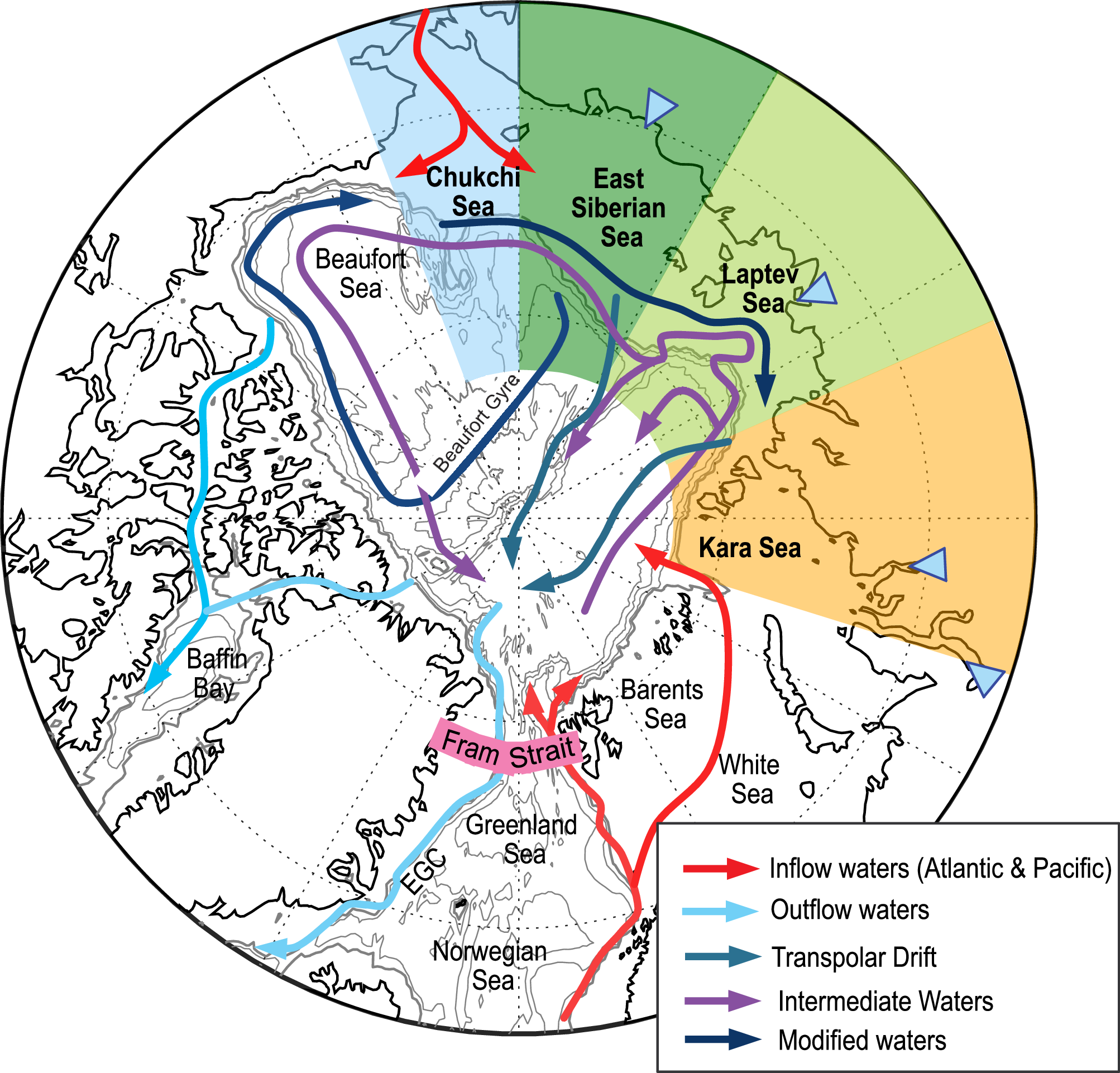 転換点超過により北極圏食物連鎖へ深刻な影響 (Arctic food chain hit as tipping point passed) 転換点超過により北極圏食物連鎖へ深刻な影響 (Arctic food chain hit as tipping point passed)