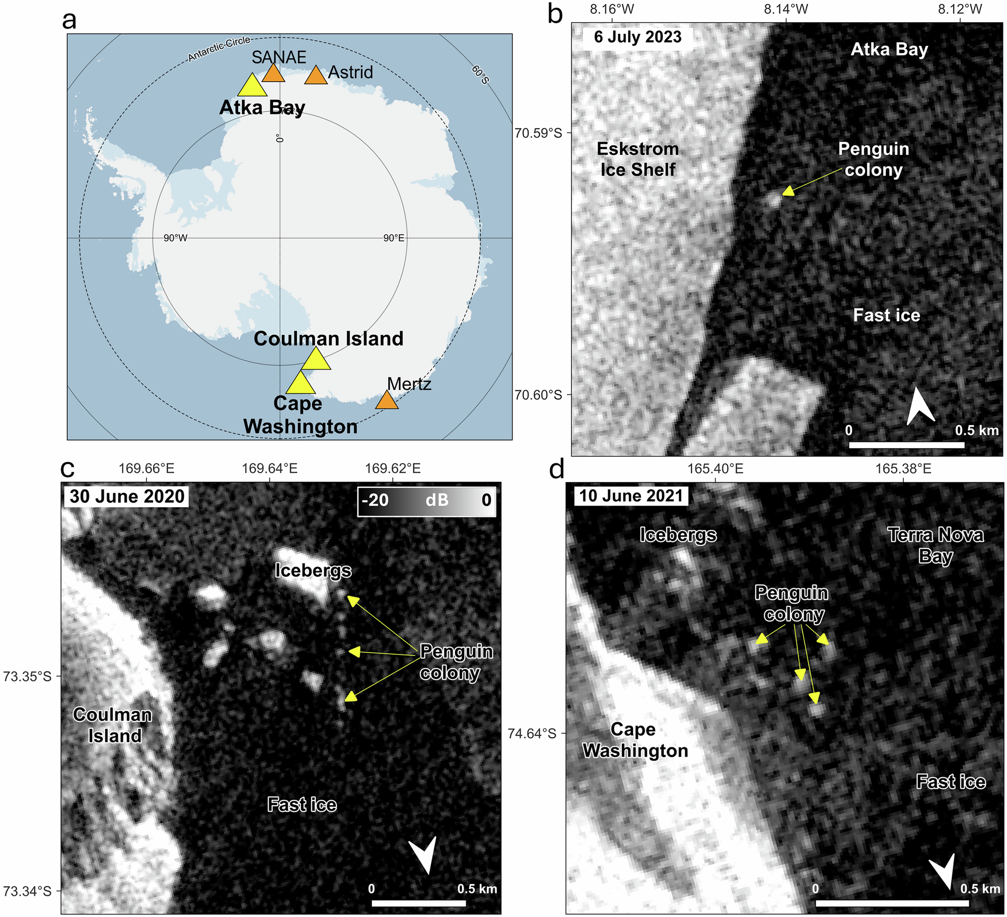 Study sites and emperor penguin colonies visible in Sentinel-1 SAR