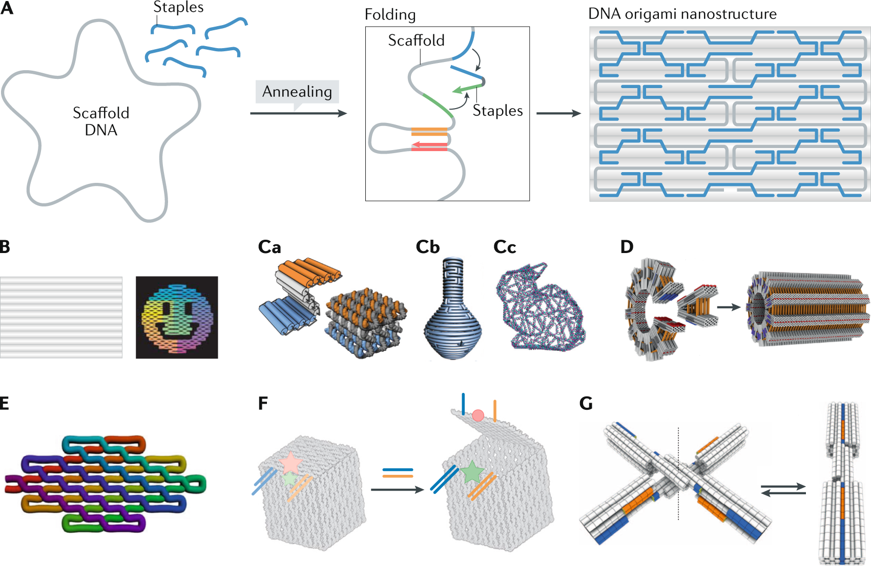 DNA origami  Nature Reviews Methods Primers