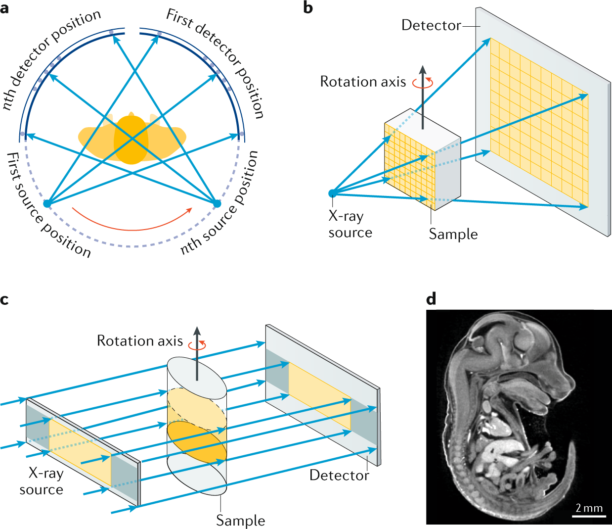 Quantitative Assessment and Measurement of X-ray Detector