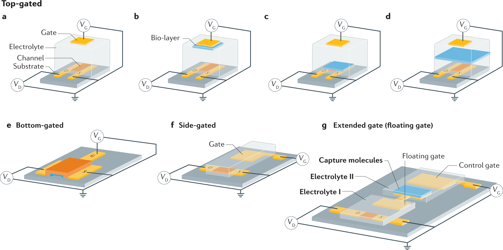Electrolyte-gated transistors for enhanced performance bioelectronics |  Nature Reviews Methods Primers