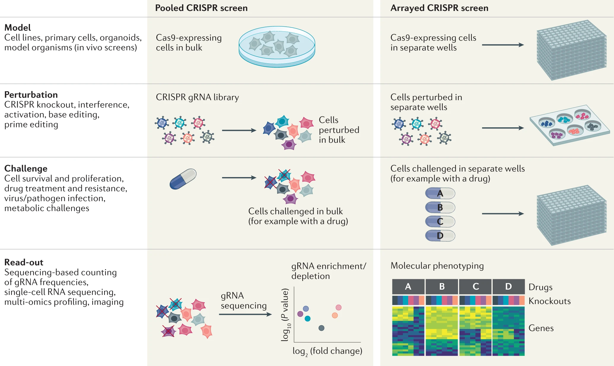 High-content CRISPR screening. 