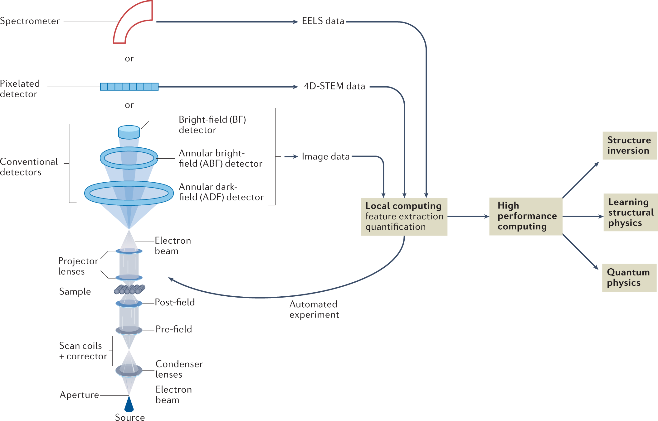 Machine learning in scanning transmission electron microscopy | Nature  Reviews Methods Primers