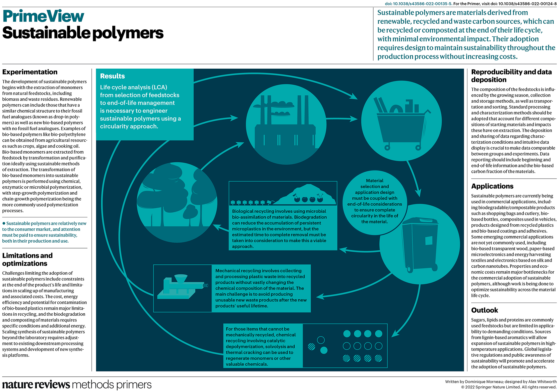 Sustainable polymers  Nature Reviews Methods Primers