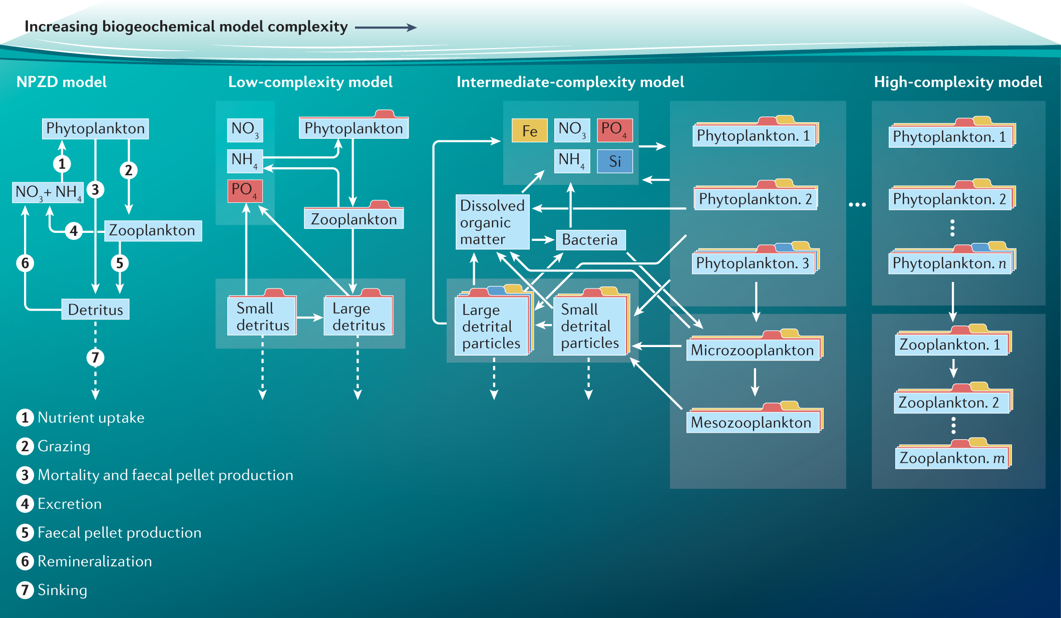 https://media.springernature.com/full/springer-static/image/art%3A10.1038%2Fs43586-022-00154-2/MediaObjects/43586_2022_154_Fig1_HTML.png