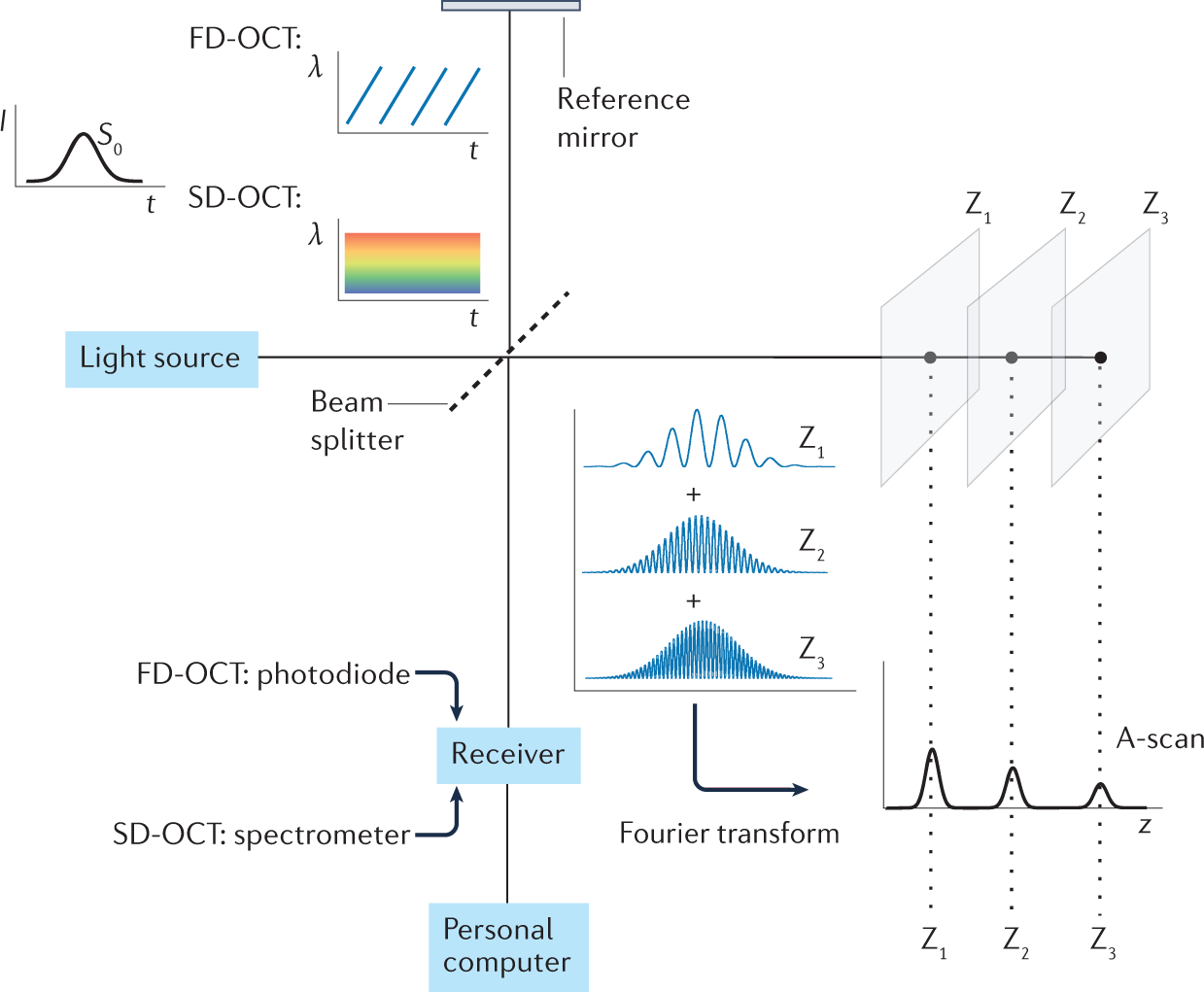 Optical coherence tomography | Nature Reviews Methods Primers