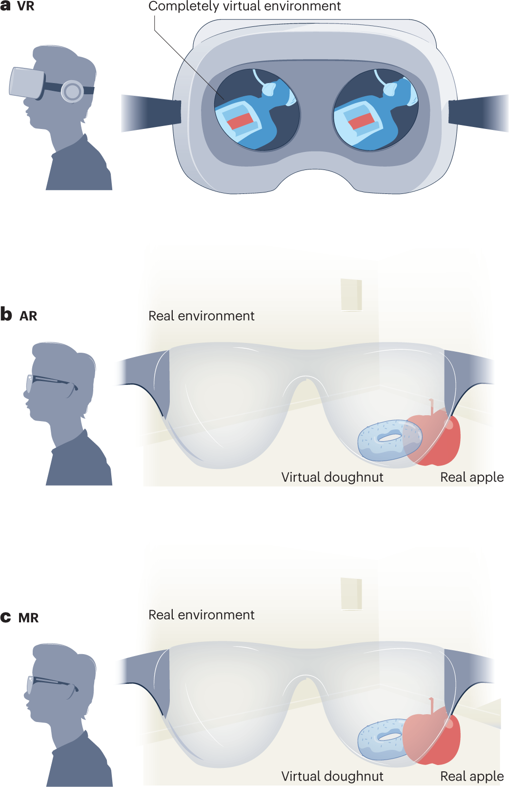 Extended reality for biomedicine | Nature Reviews Methods Primers