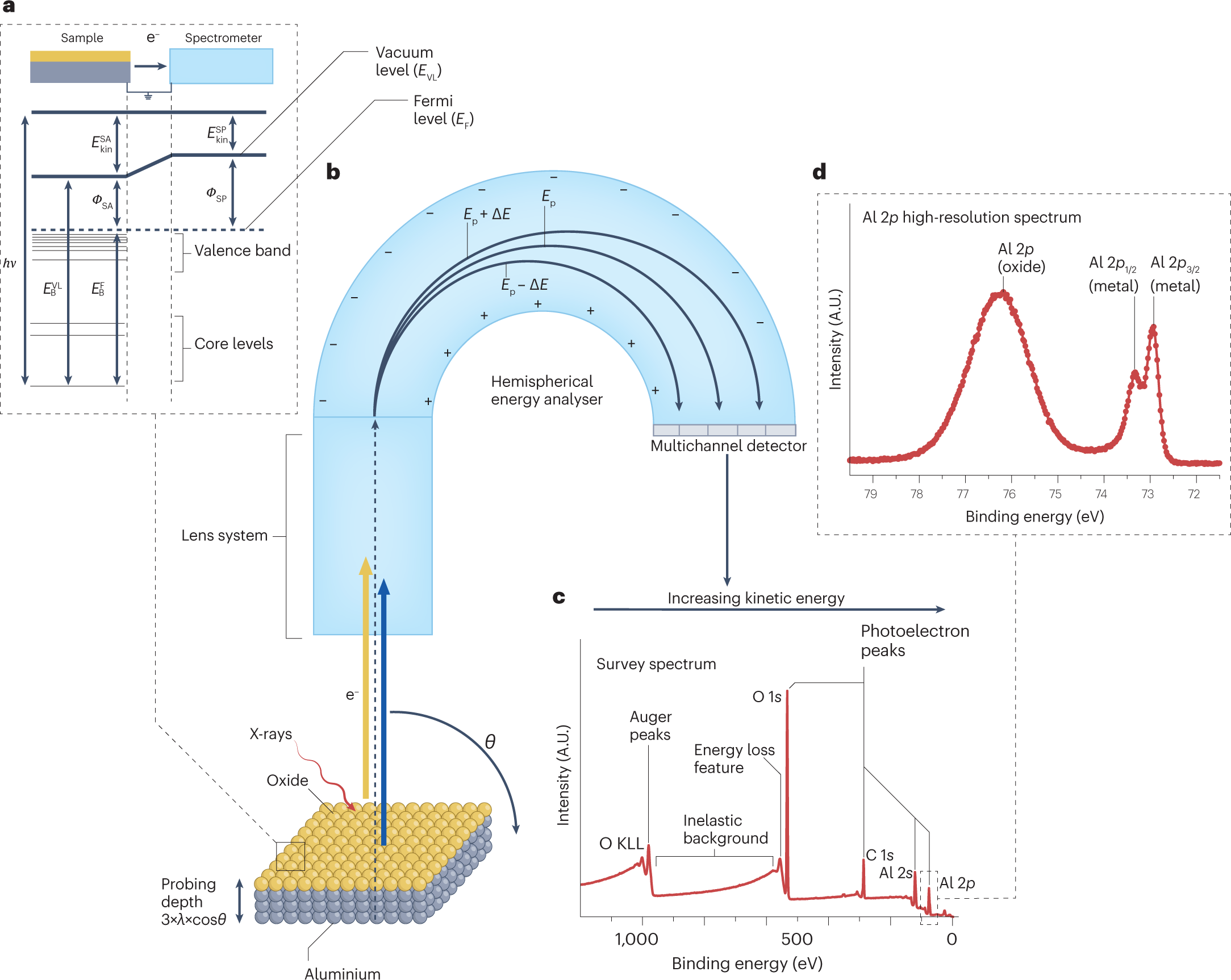 PDF] Graph-based Clustering of Synonym Senses for German Particle