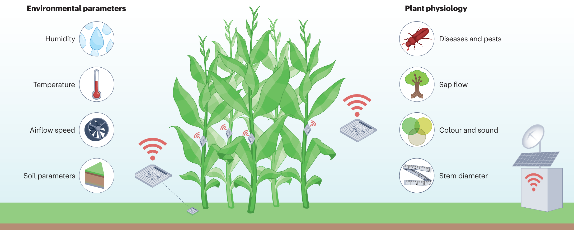 Sensors in agriculture: towards an Internet of Plants | Nature Reviews  Methods Primers