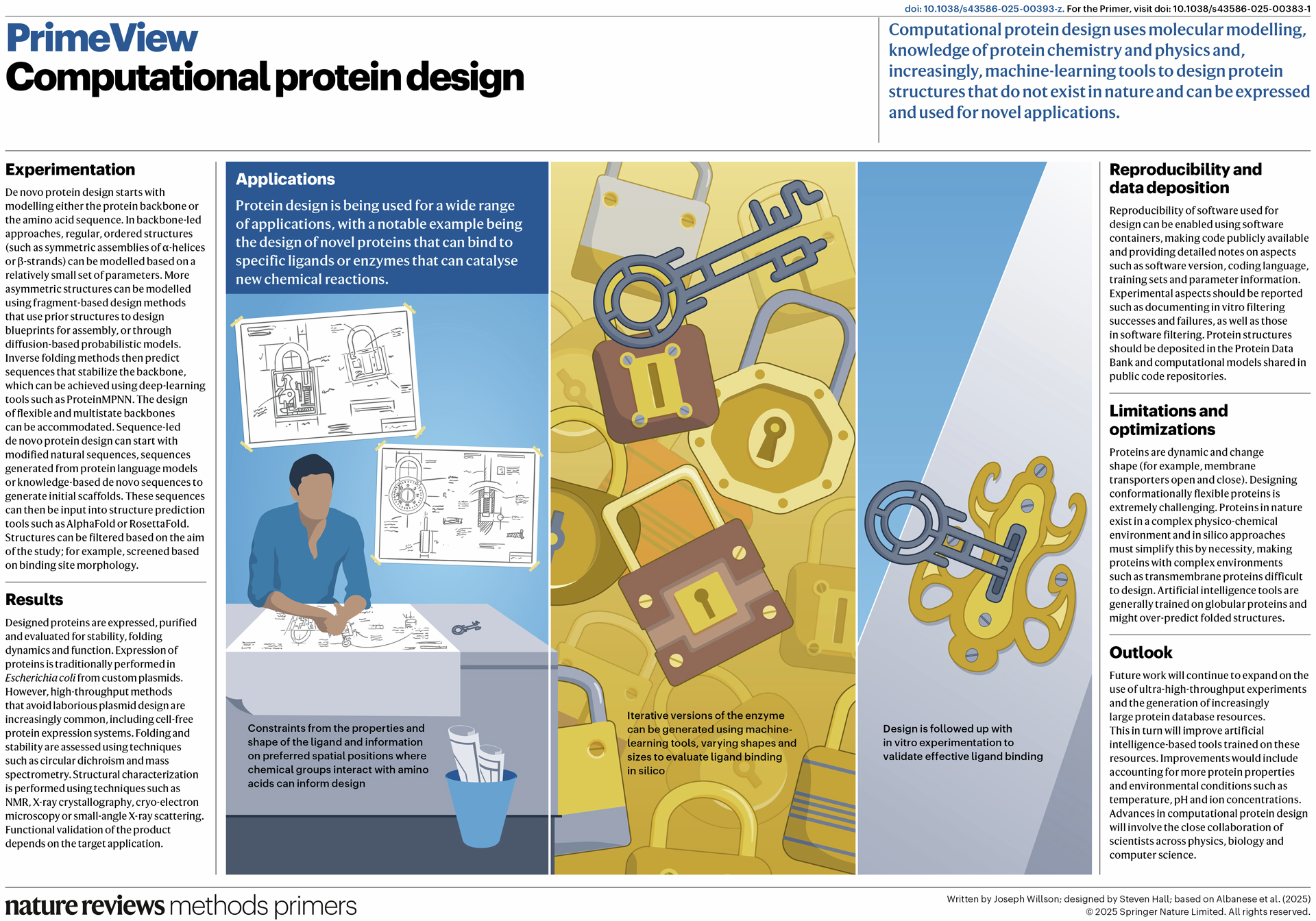 Computational protein design | Nature Reviews Methods Primers