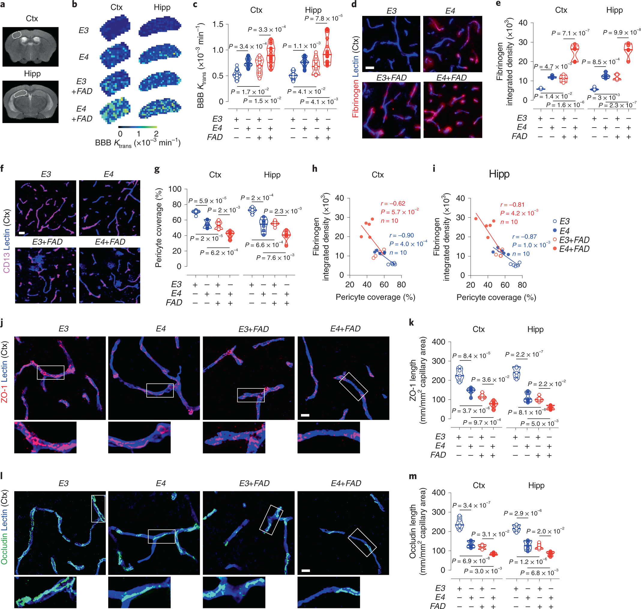 APOE4 accelerates advanced-stage vascular and neurodegenerative disorder in  old Alzheimer's mice via cyclophilin A independently of amyloid-β | Nature  Aging