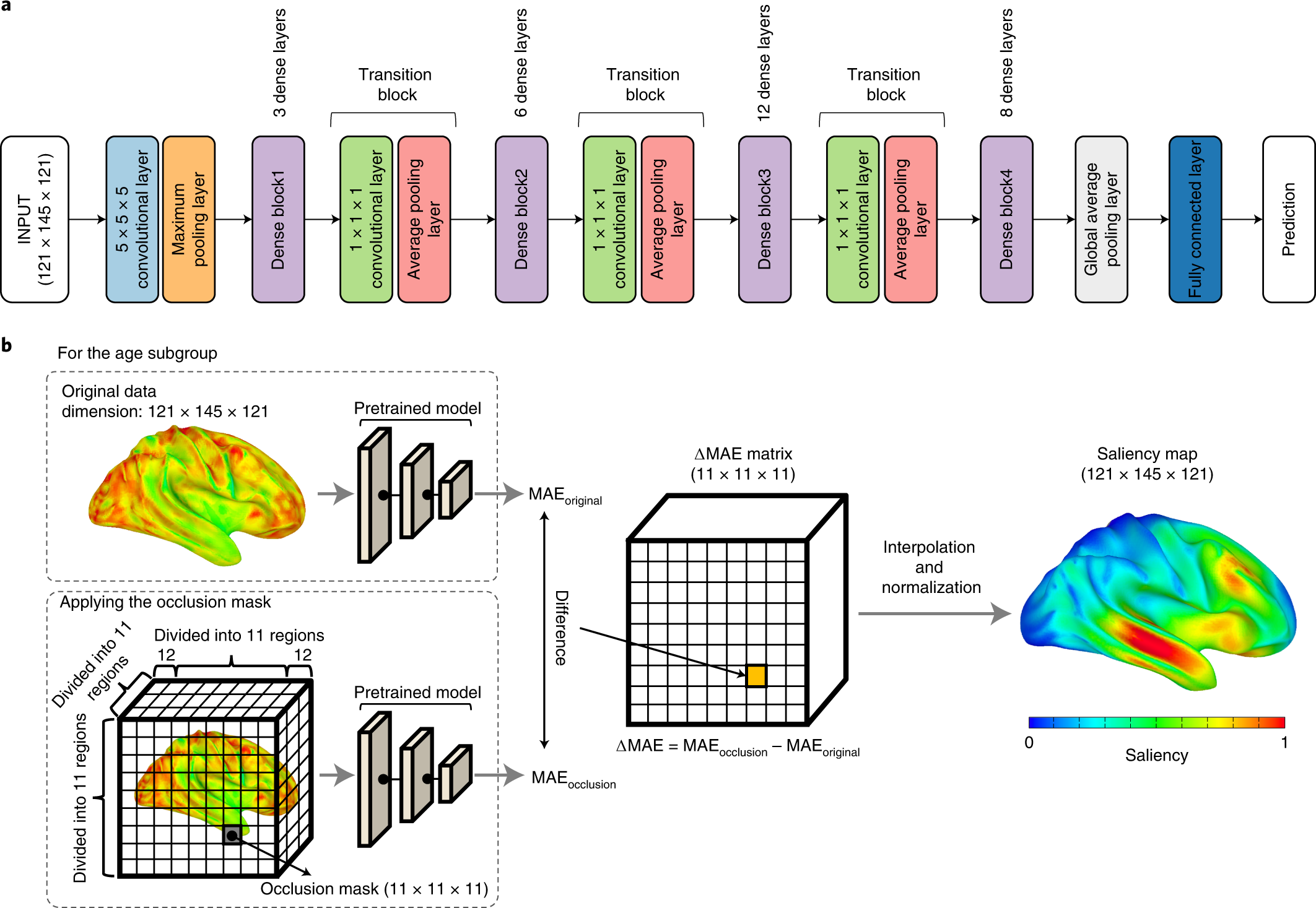 Deep learning-based brain age prediction in normal aging and dementia |  Nature Aging