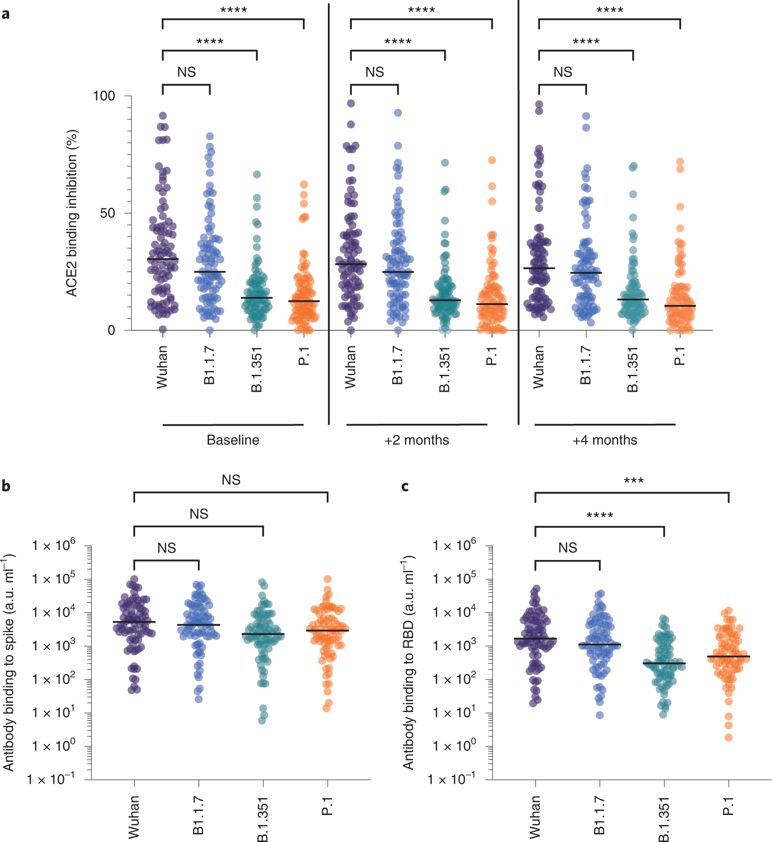 Fig. 2: Serological inhibition of spike-ACE2 interaction and direct antibody binding to spike/RBD.