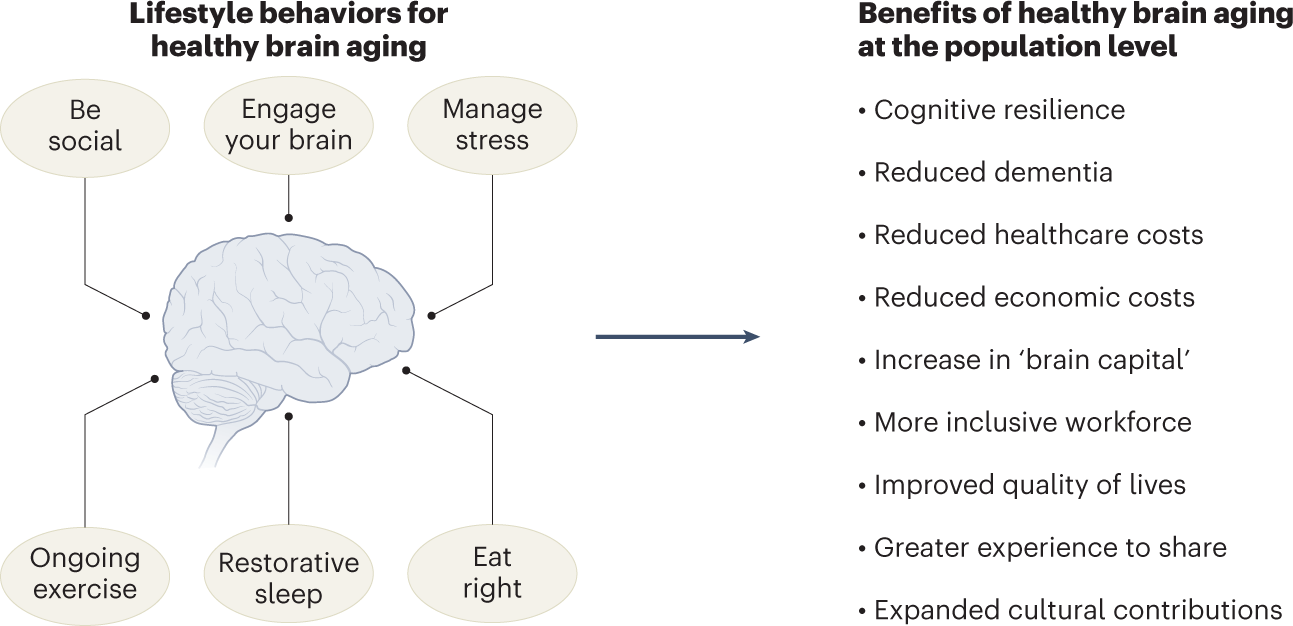 healthy brain