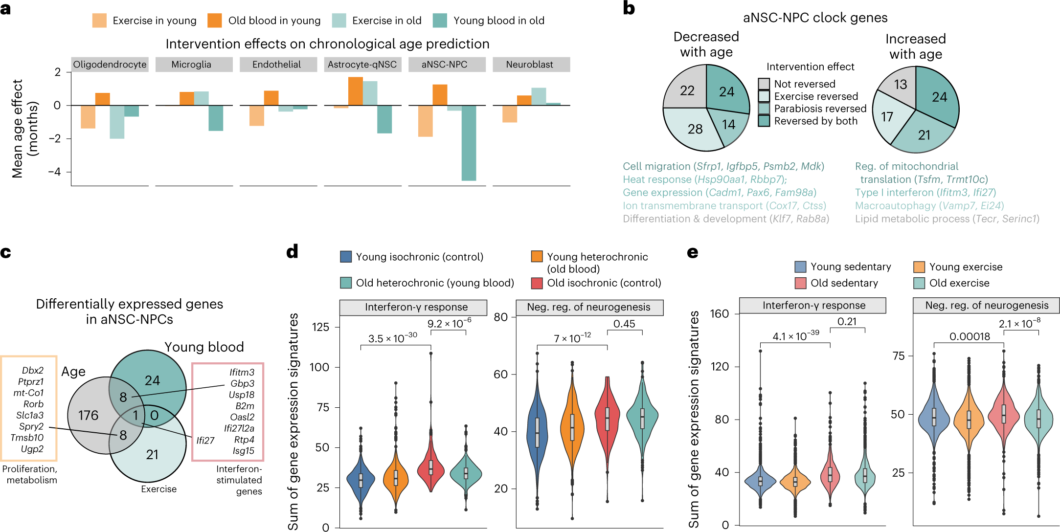 Fig. 6: Comparison of exercise and parabiosis interventions on cell-type-specific aging clocks.