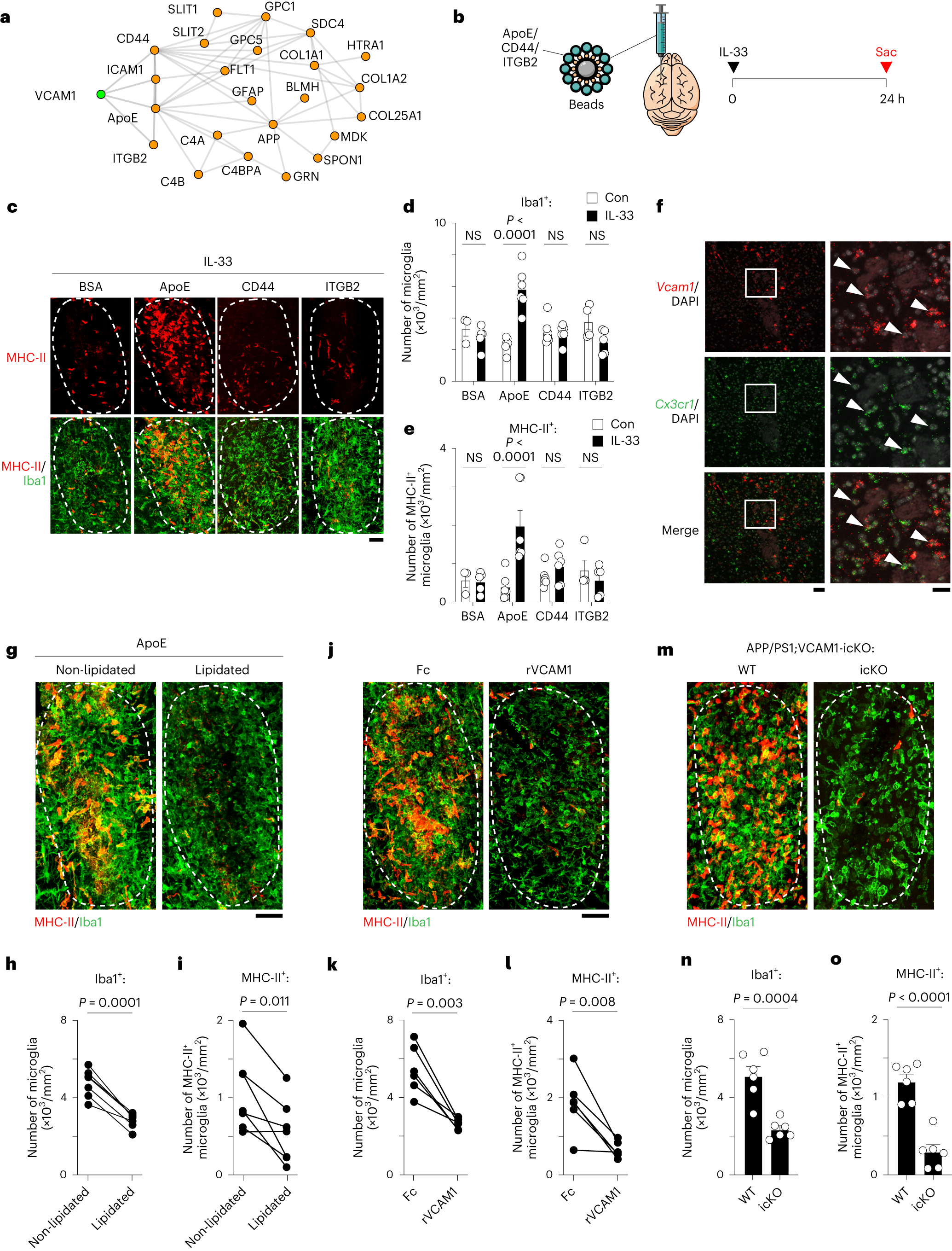 Fig. 4: ApoE is a chemoattractant that directs VCAM1-dependent chemotaxis of microglia.