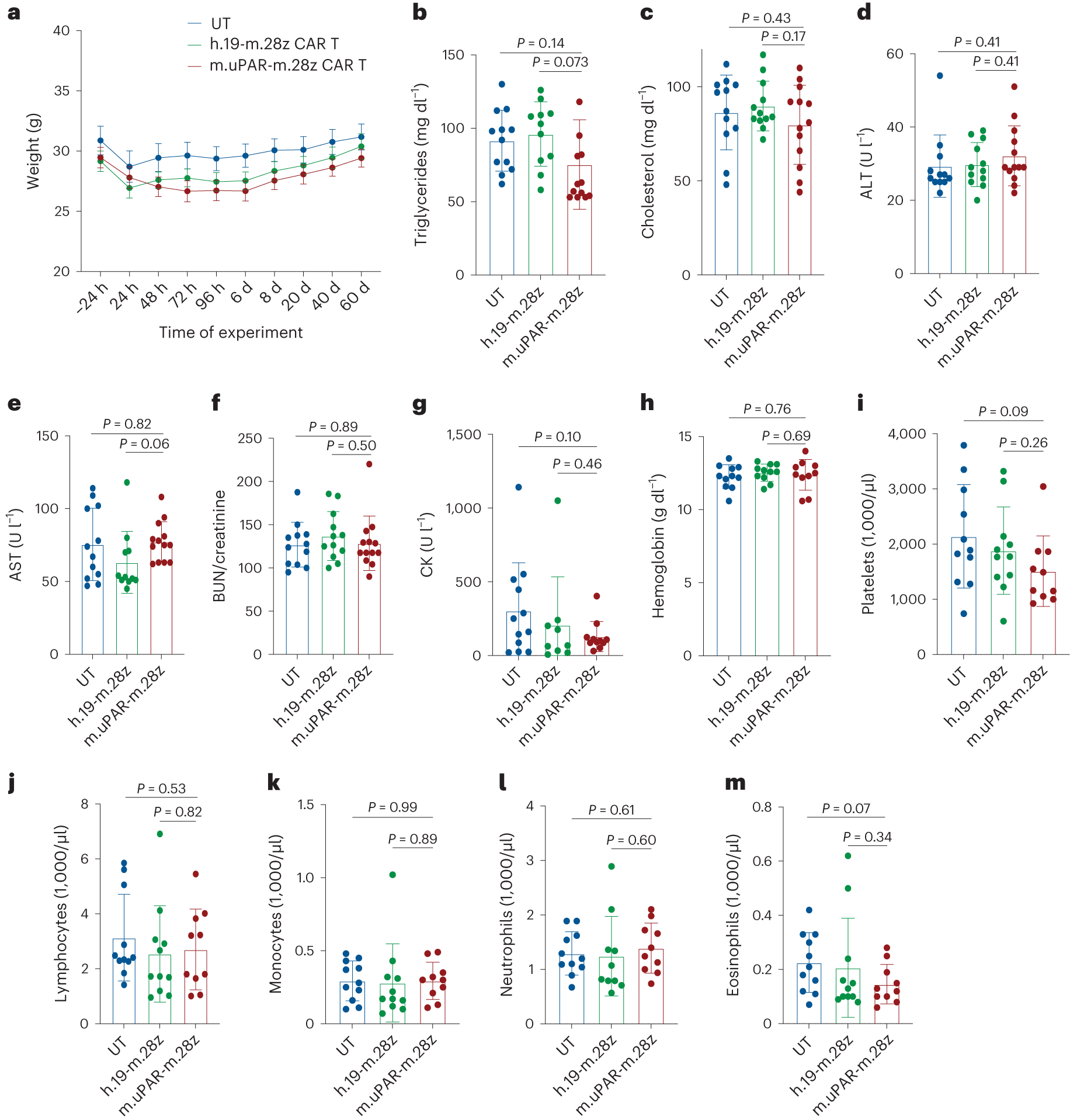 Fig. 4: Safety of uPAR CAR T cells in aged mice.