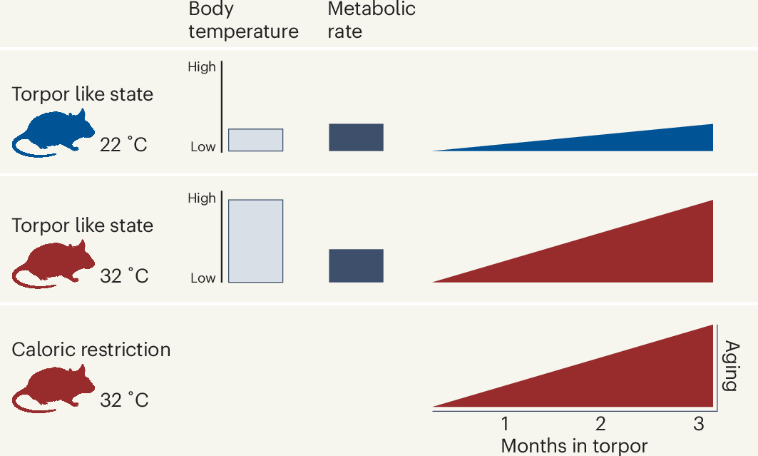 dsip increase body temp in hot environment decrease in cold How to stay safe extreme cold: Tips to avoid hypothermia and frostbite Heat and Cold Illness in