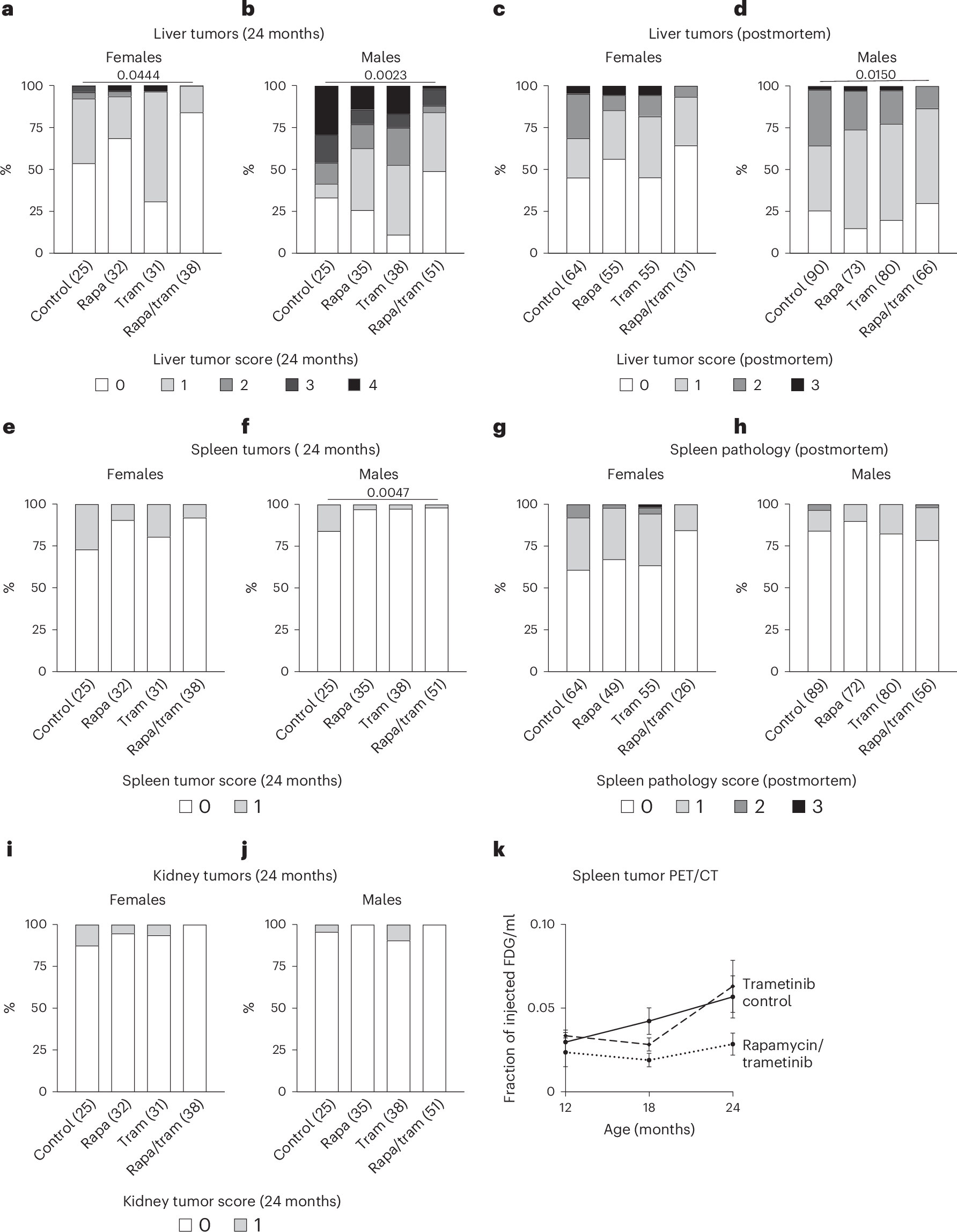 Fig. 3: Trametinib and rapamycin combined treatment delays tumor formation and overall tumor load.