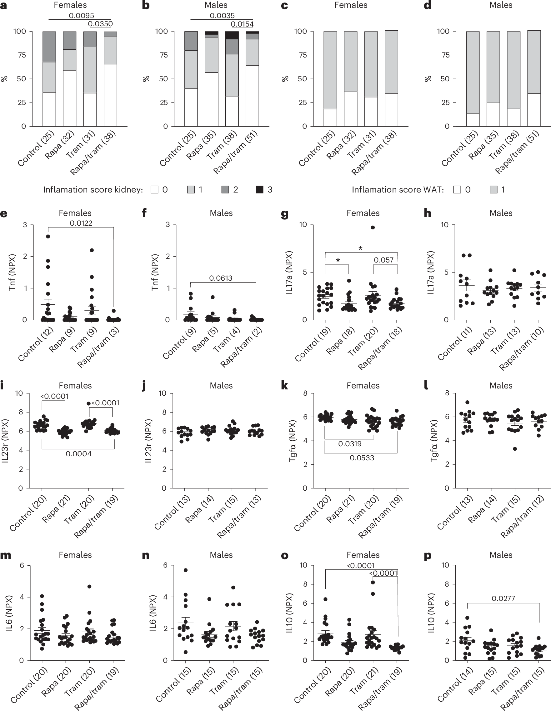 Fig. 6: Combination drug treatment reduces peripheral inflammation.
