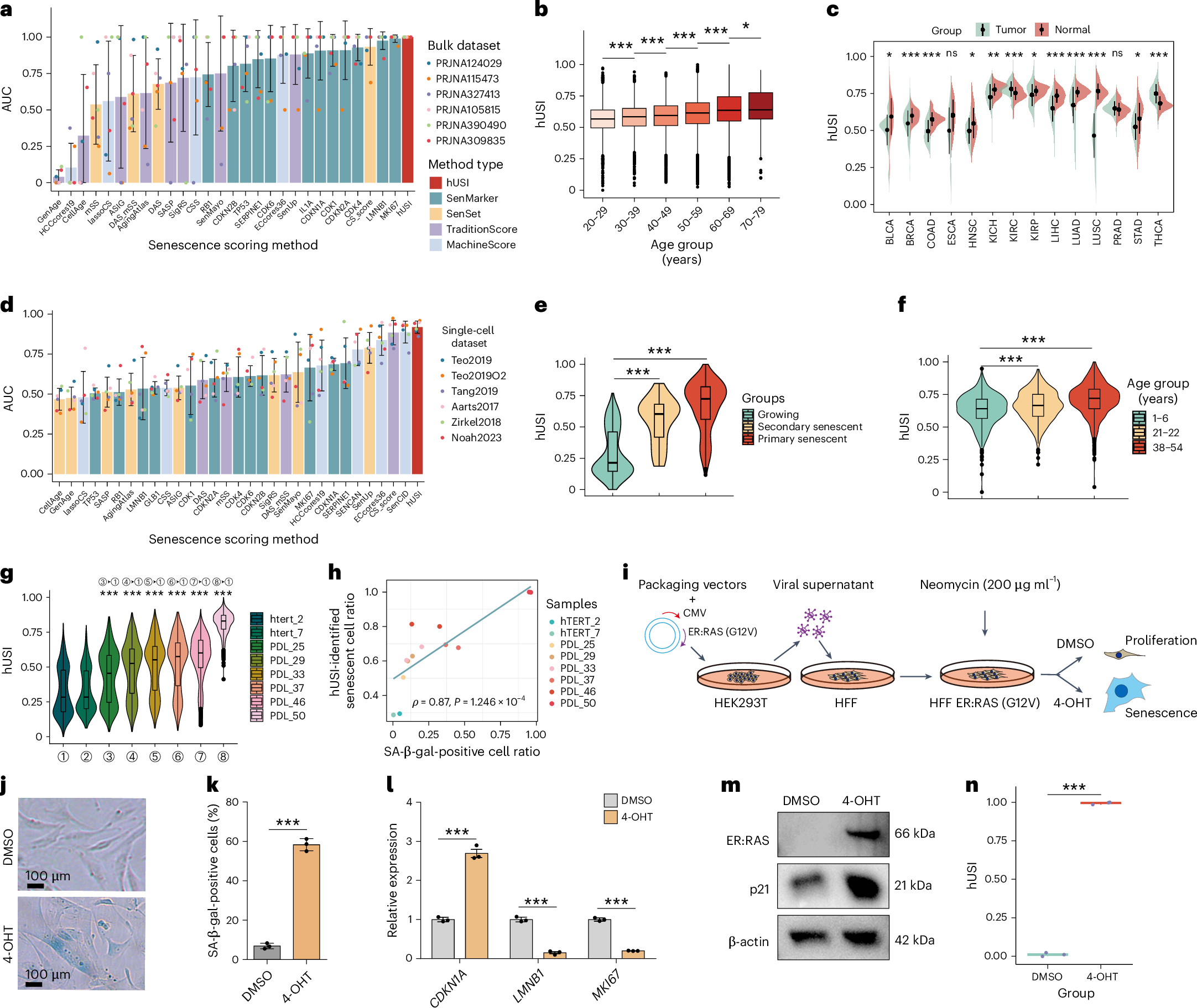 Fig. 2: hUSI enables robustly evaluating senescence for diverse samples.