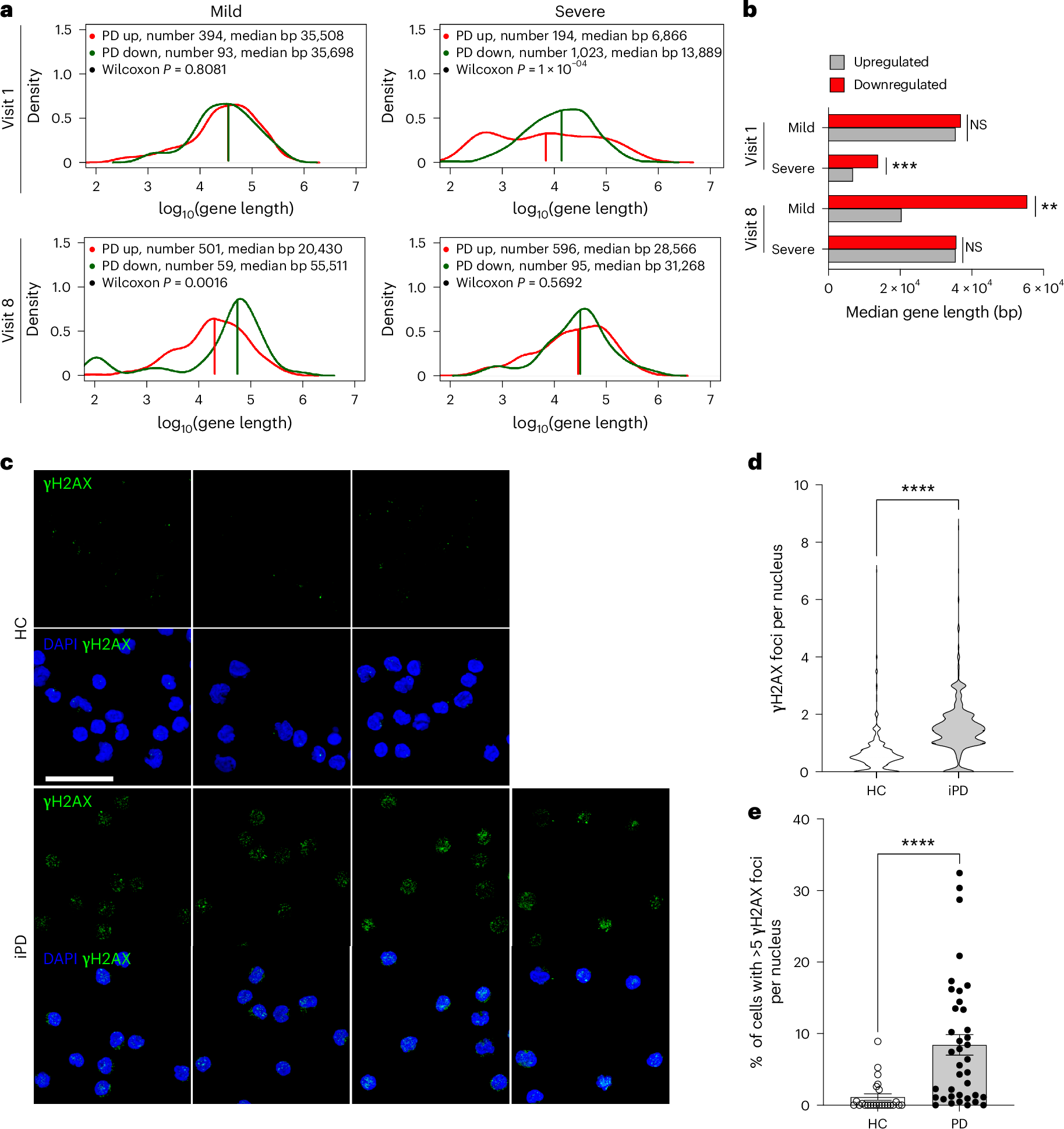 Fig. 6: Surrogate measures of DNA damage in the PD blood transcriptome and PBMCs.