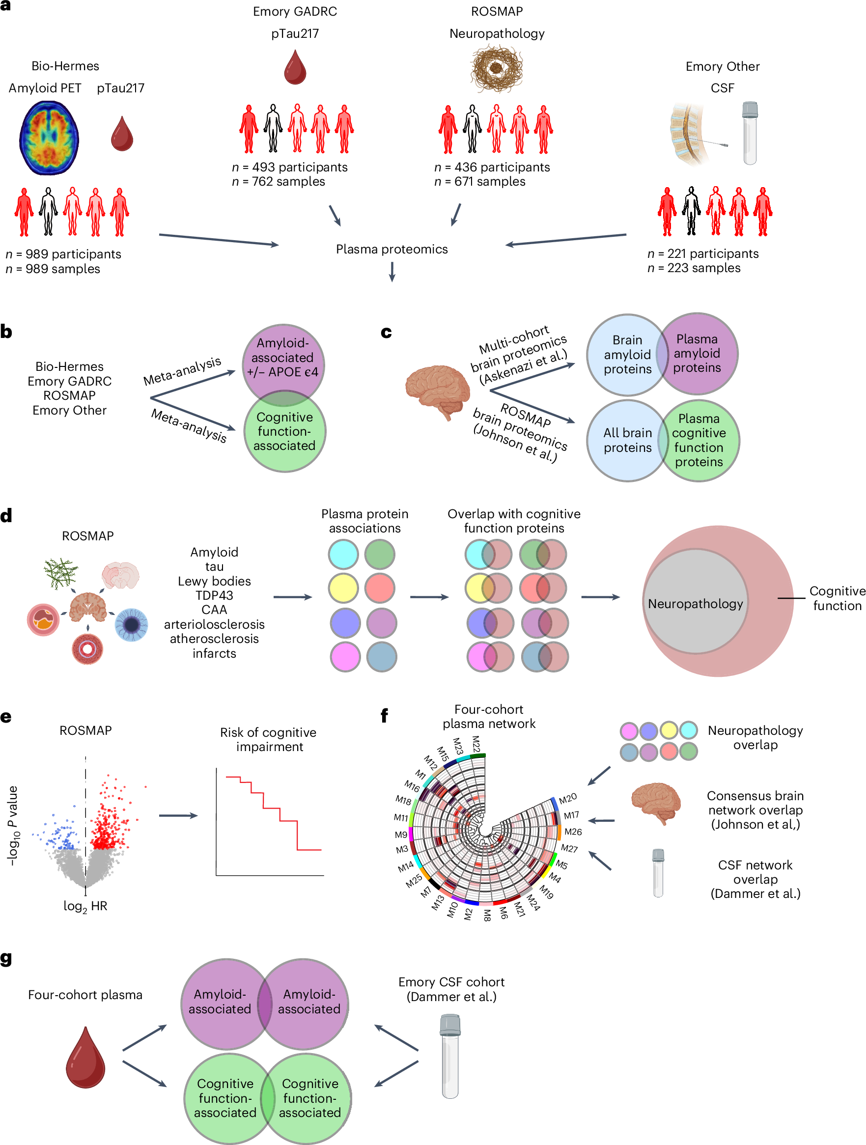 Unforgettable raw passion