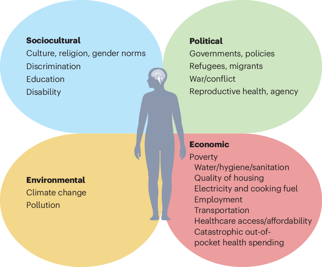 The Population Neuroscience-Dementia Syndemics Framework to better  understand global sex and gender-based risk in low- and middle-income  countries | Nature Aging