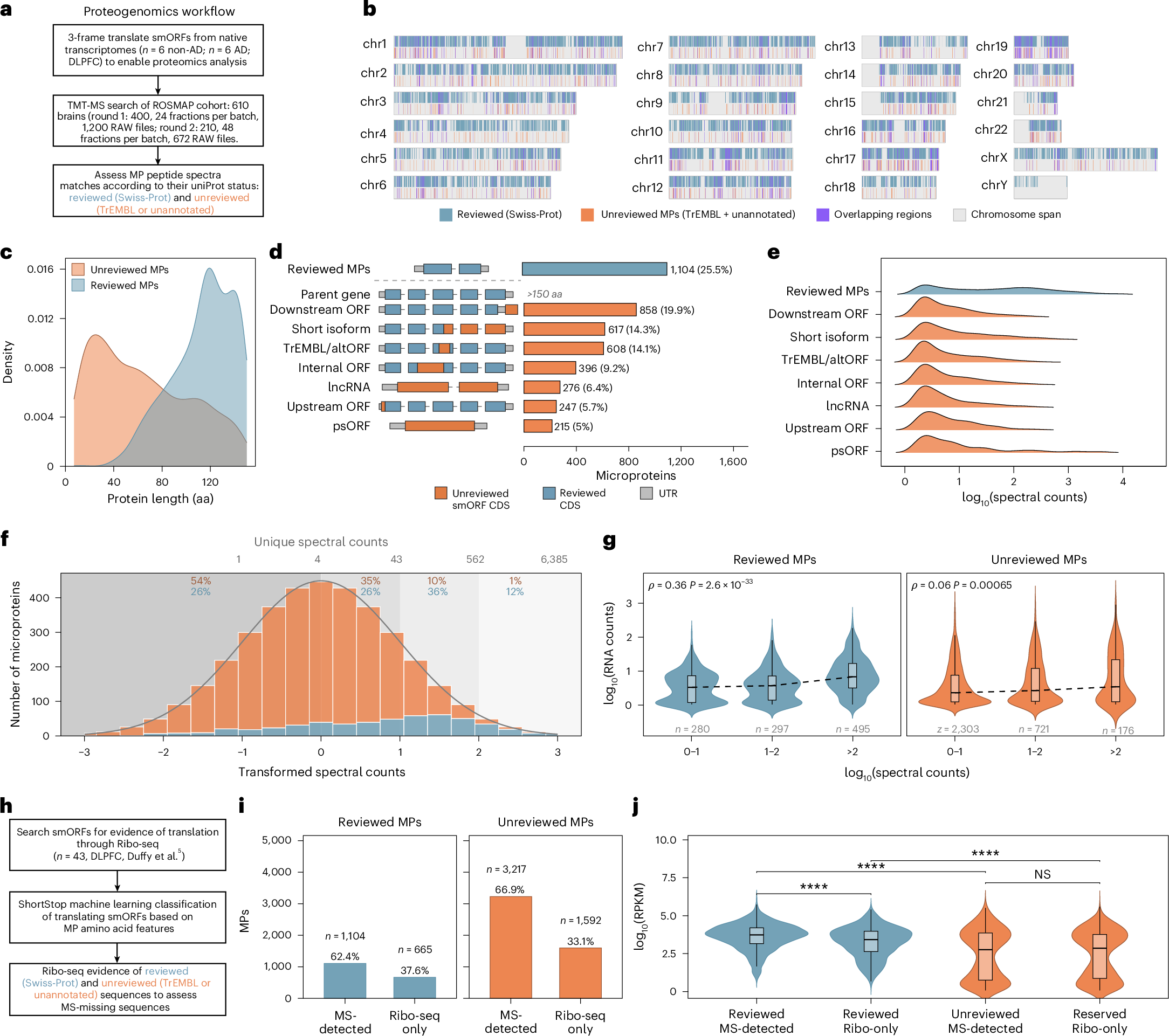 Photograph accompanying Salk catalogs 1,067 uncharacterized microproteins in the human frontal cortex