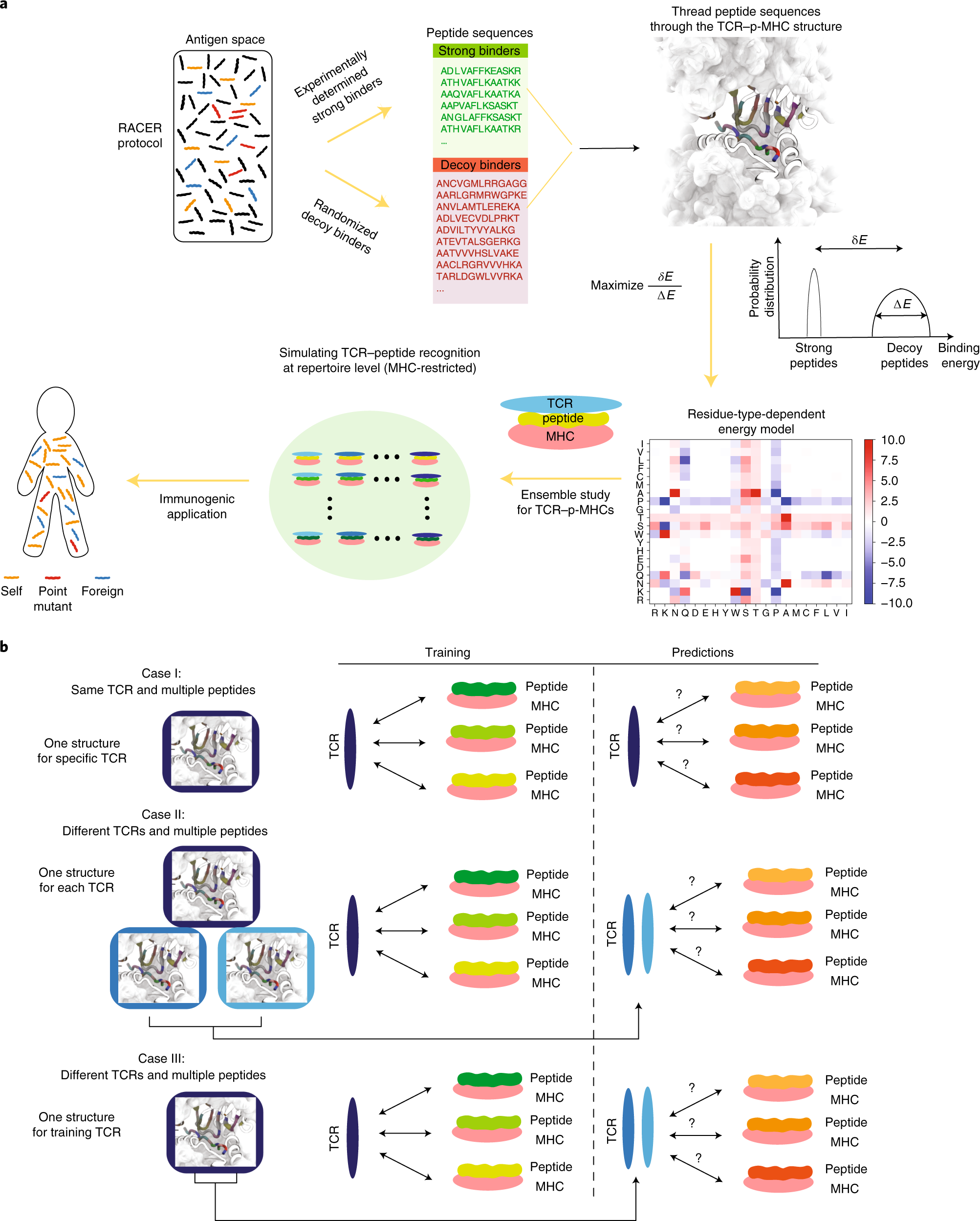 Frontiers  Multiple-Allele MHC Class II Epitope Engineering by a Molecular  Dynamics-Based Evolution Protocol