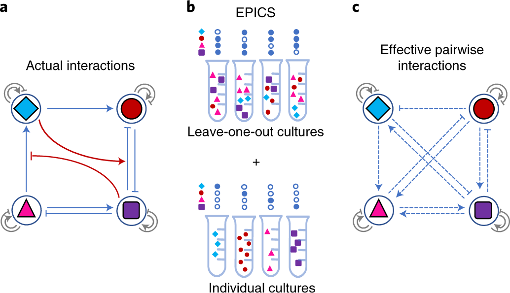 An Efficient And Scalable Top Down Method For Predicting Structures Of Microbial Communities Nature Computational Science