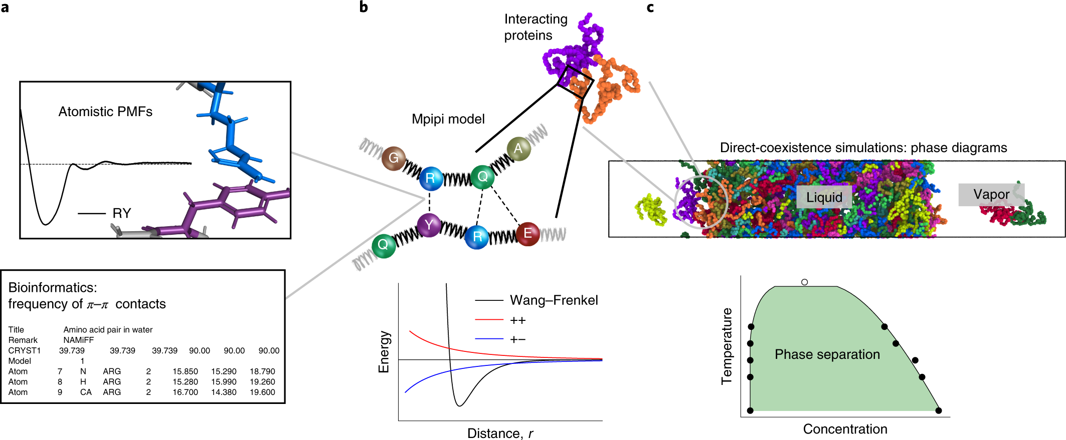 Physics Driven Coarse Grained Model For Biomolecular Phase Separation With Near Quantitative Accuracy Nature Computational Science