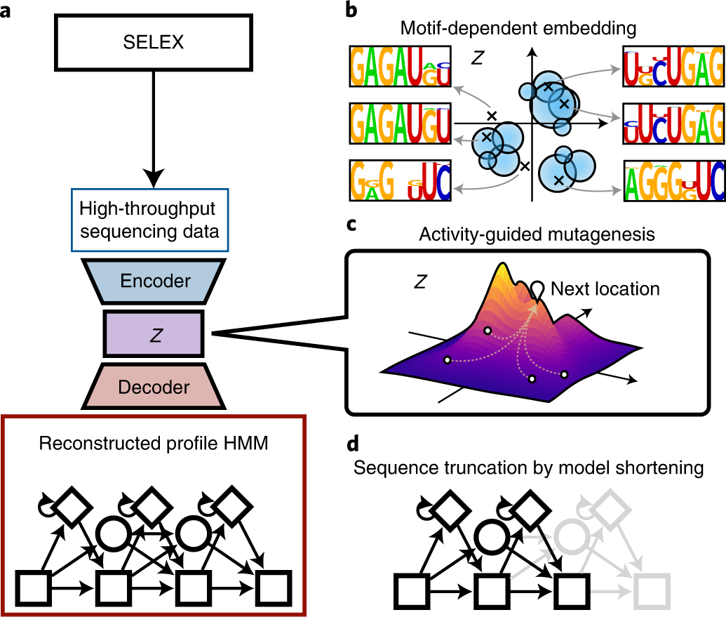 Generative Aptamer Discovery Using Raptgen Nature Computational Science Generative Aptamer Discovery Using Raptgen Nature Computational Science