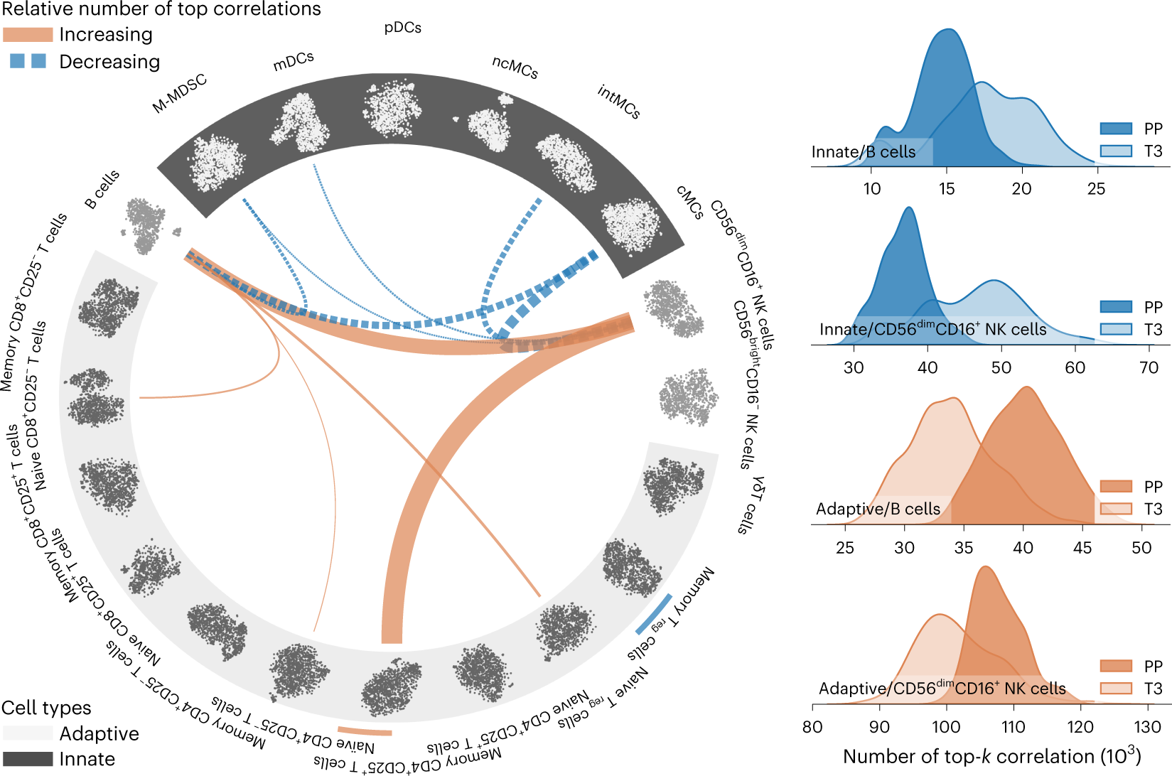 Fig. 3: Concerted immune regulation at the single-cell level during pregnancy.