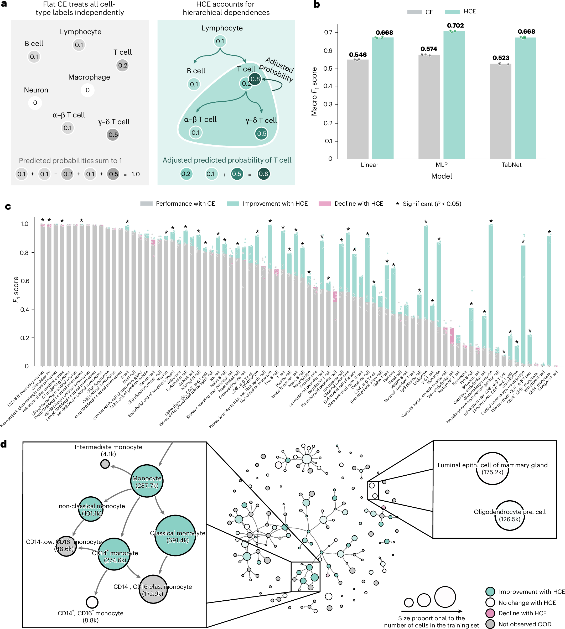 Fig. 2: HCE loss improves perfomances across architectures.