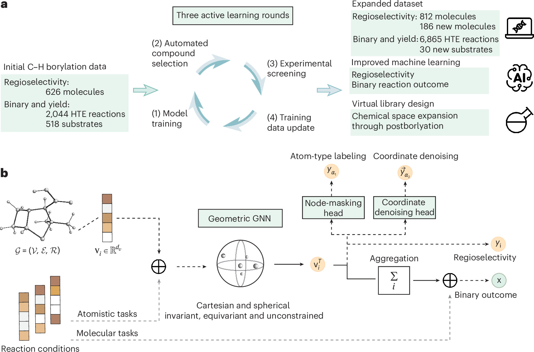 Photograph accompanying Active learning chose the lab experiments that taught a model to predict C-H borylation sites