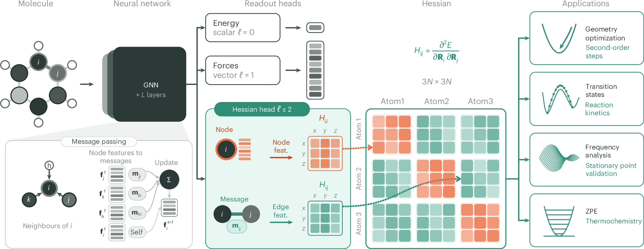 Photograph accompanying Hessian Interatomic Potentials skip autodiff and finite differences to predict molecular Hessians