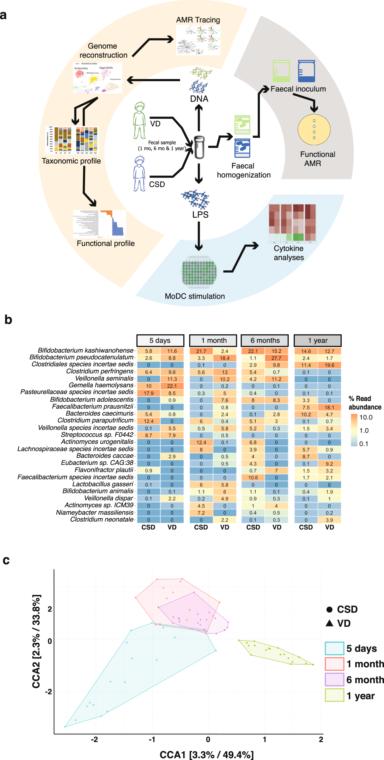 Persistence Of Birth Mode Dependent Effects On Gut Microbiome Composition Immune System Stimulation And Antimicrobial Resistance During The First Year Of Life Isme Communications