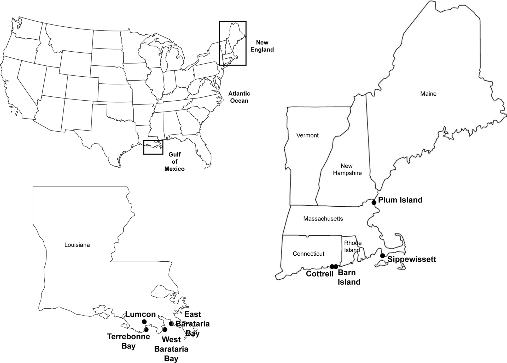 Biogeography Of Ammonia Oxidizers In New England And Gulf Of Mexico Salt Marshes And The Potential Importance Of Comammox Isme Communications